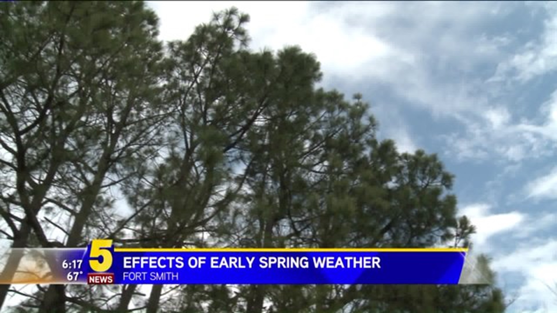 Effects Of Early Spring Weather