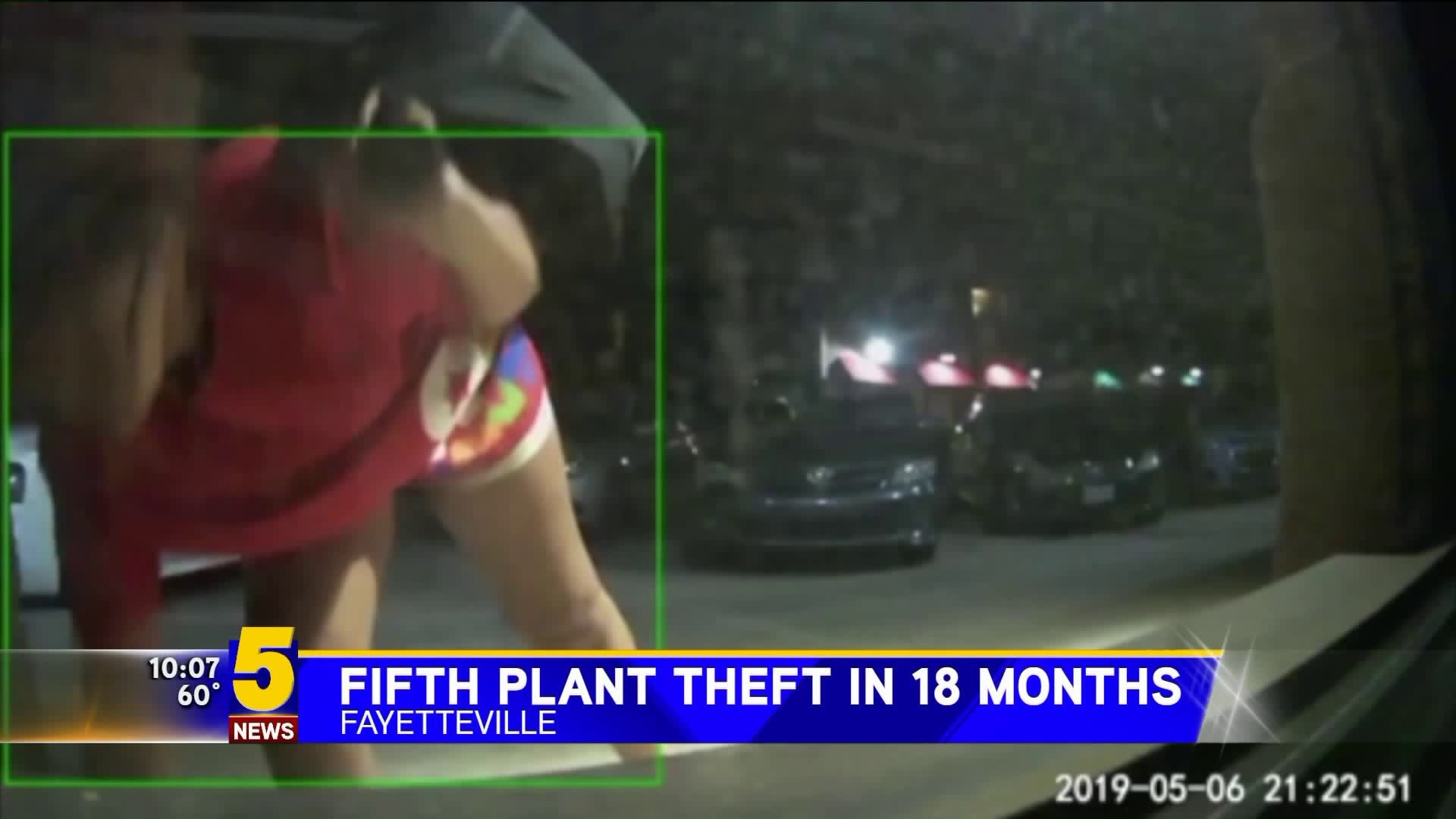 Fayetteville Plant Thief