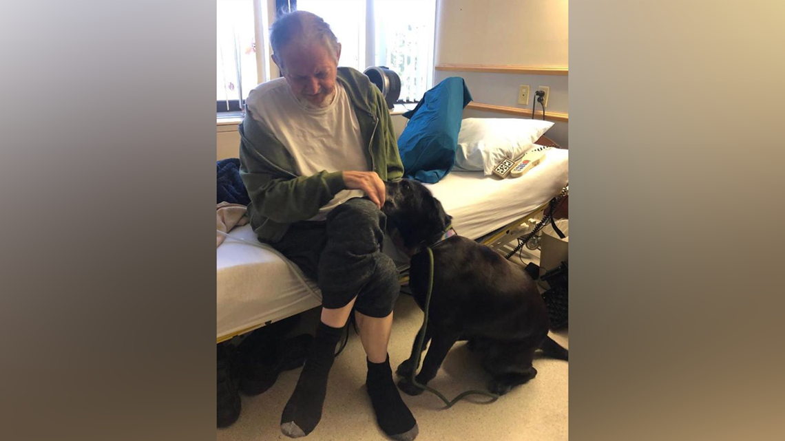 Local Community Helps Sick Veteran Care For Senior Dog | 5newsonline.com