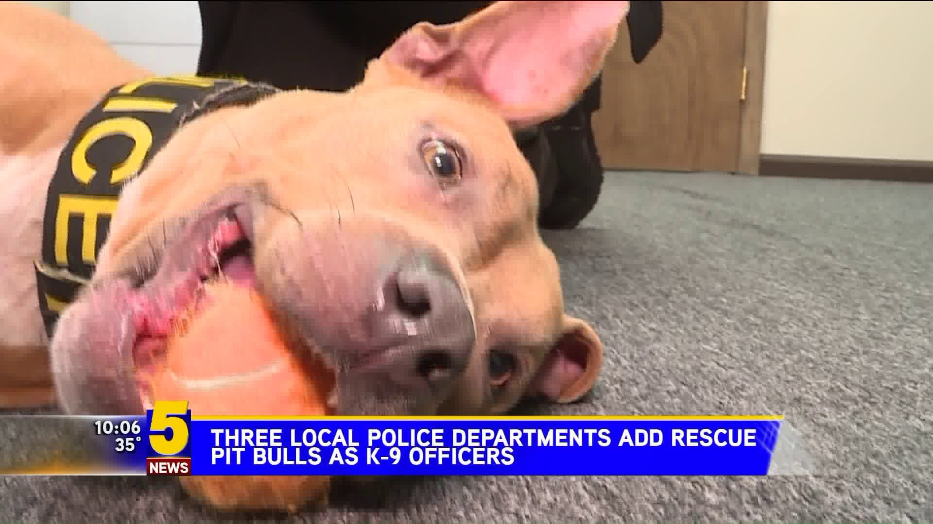 Three Local Police Departments Add Rescue Pitbulls As K9 Officers