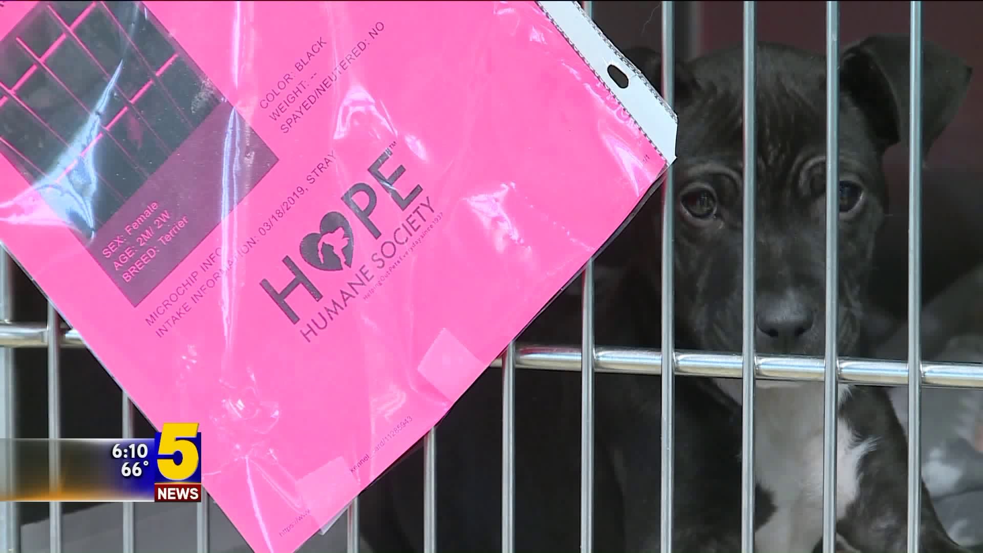 HOPE Humane Society City Contract Issues