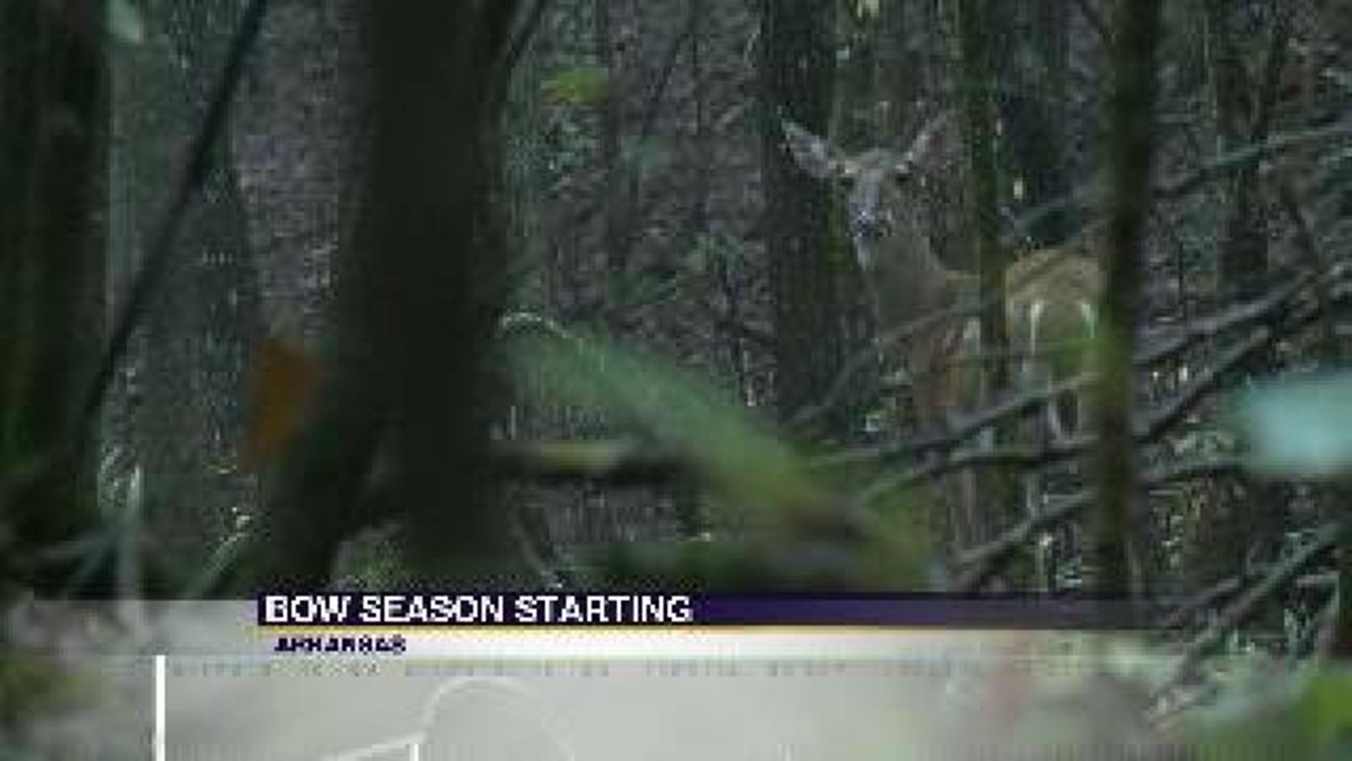 New Regulation for Bow Hunting