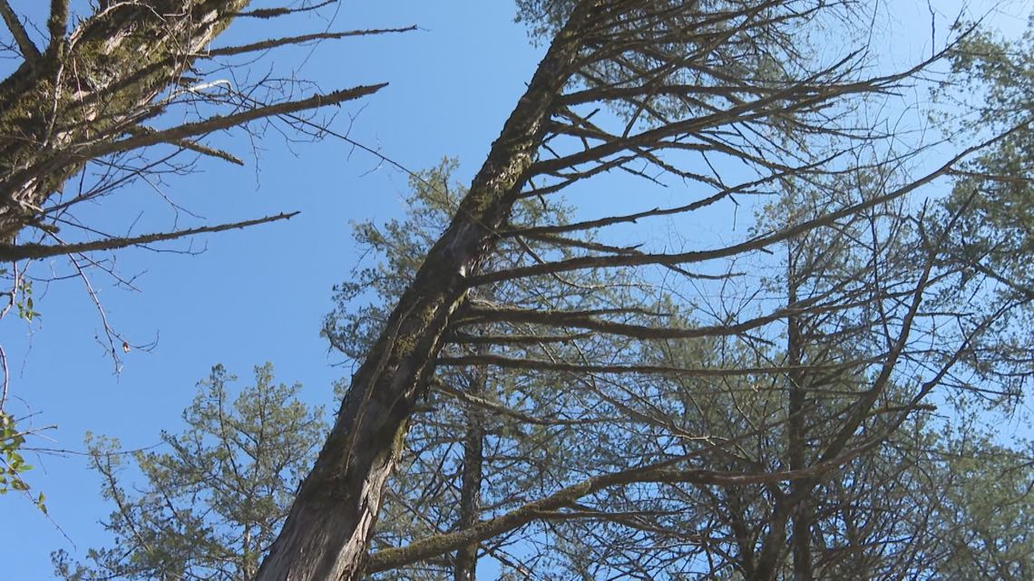 What to know about Devil's Den after 2 bodies found in Arkansas State Park