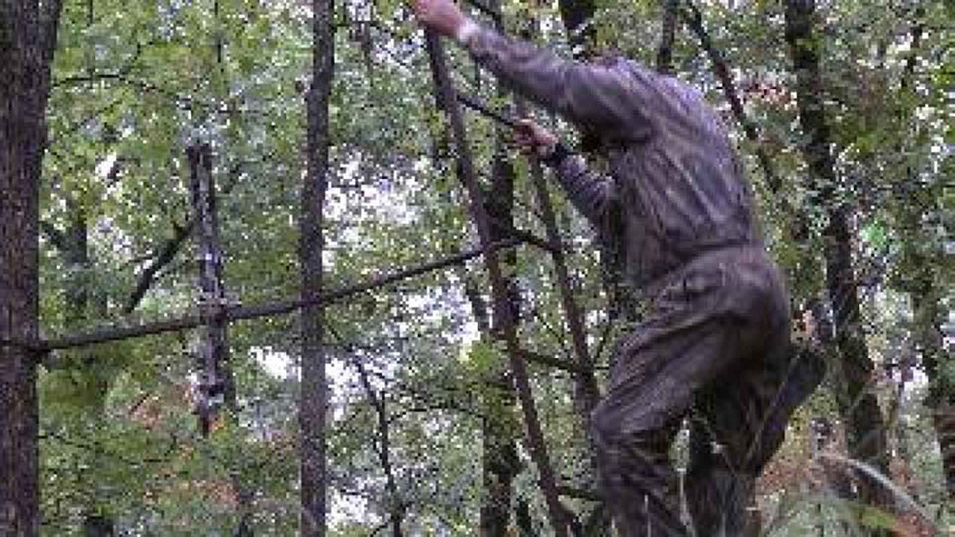 Chad Lowe Explains Deer Stand Safety