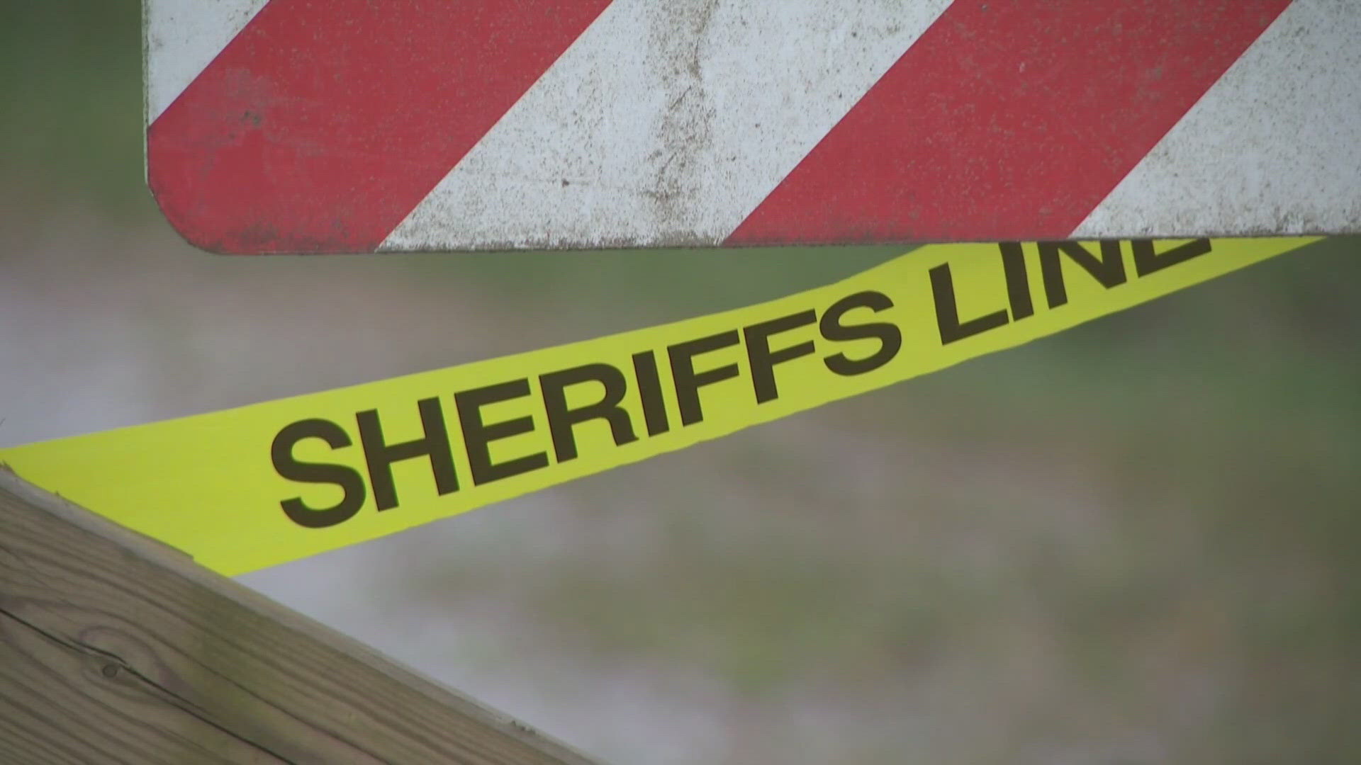 Man dead after suspected bear attack in Arkansas | 5newsonline.com