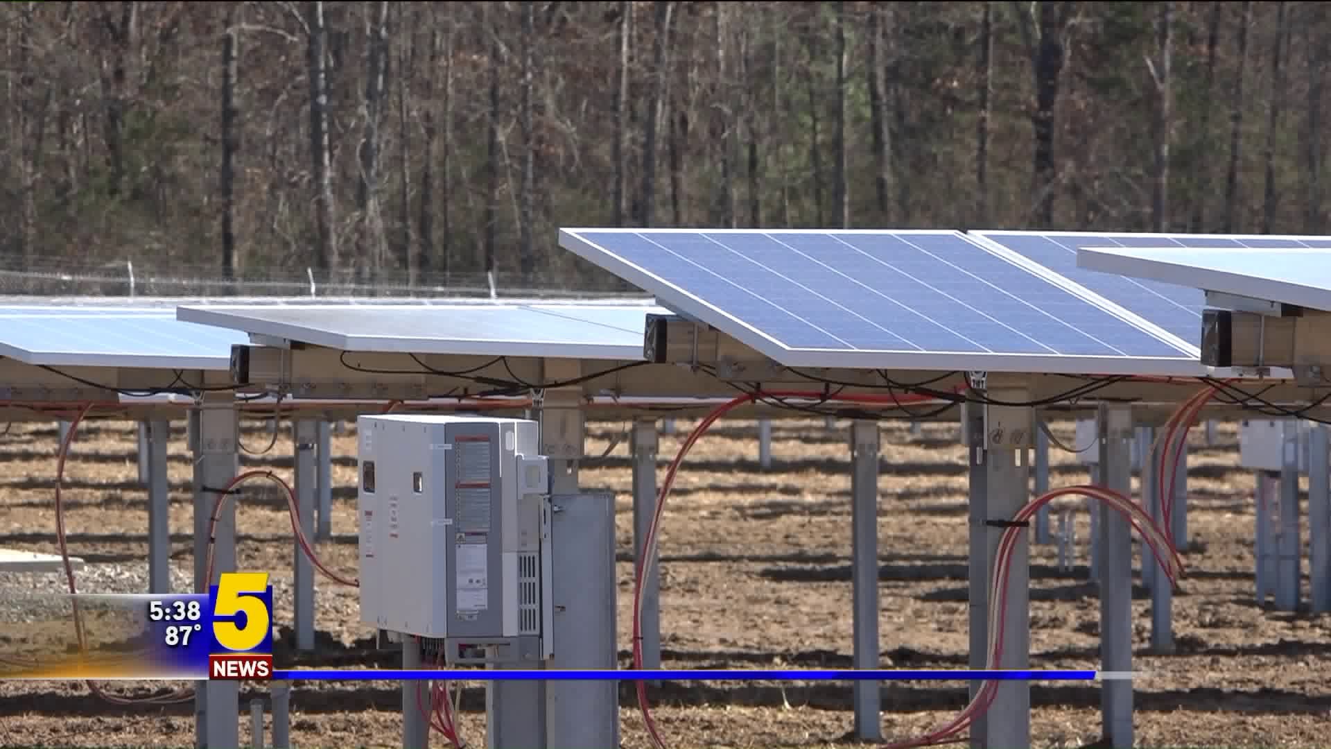 Solar Panels Gain Popularity