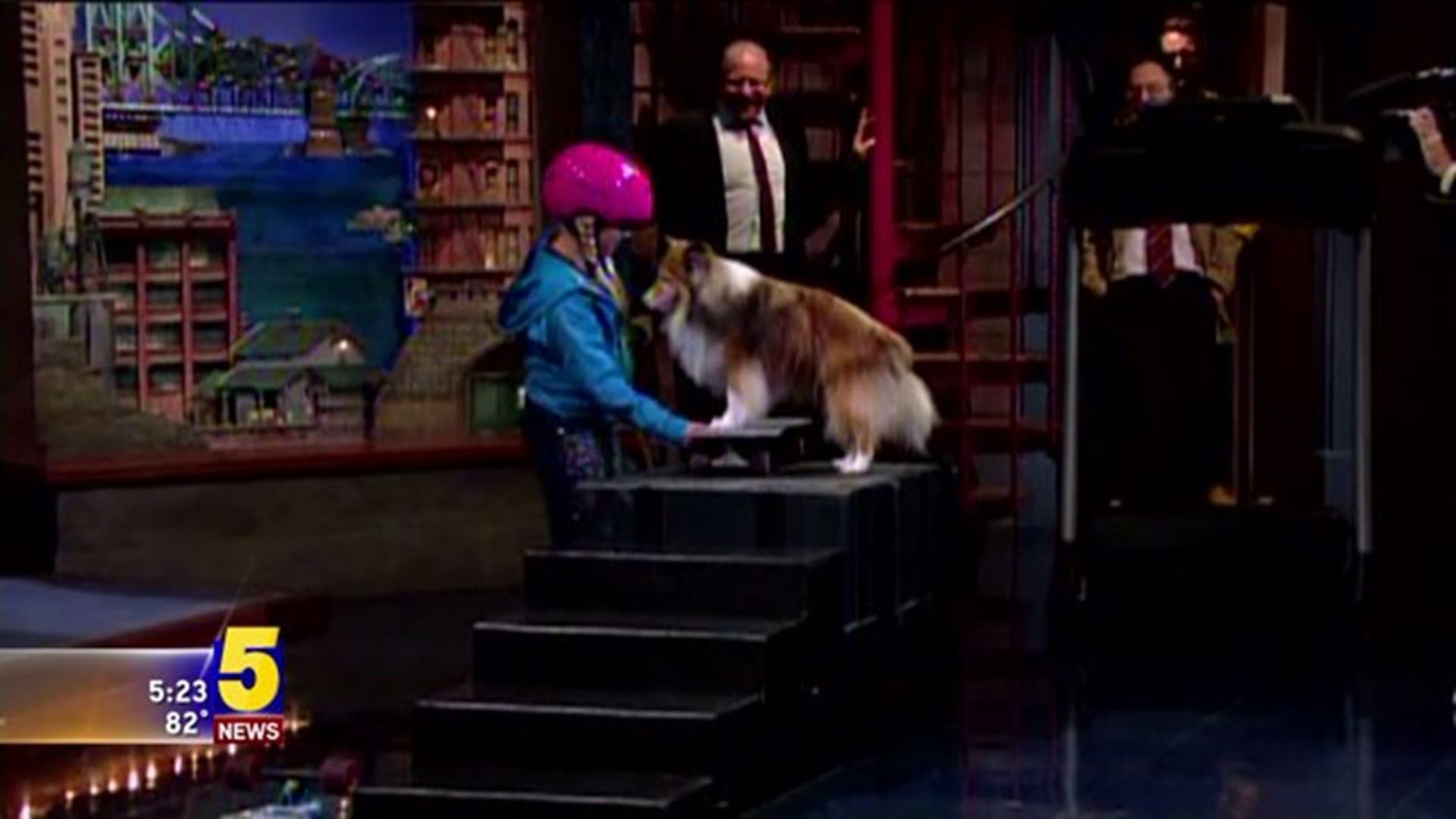 Stupid Pet Tricks Auditions To Be Held Saturday