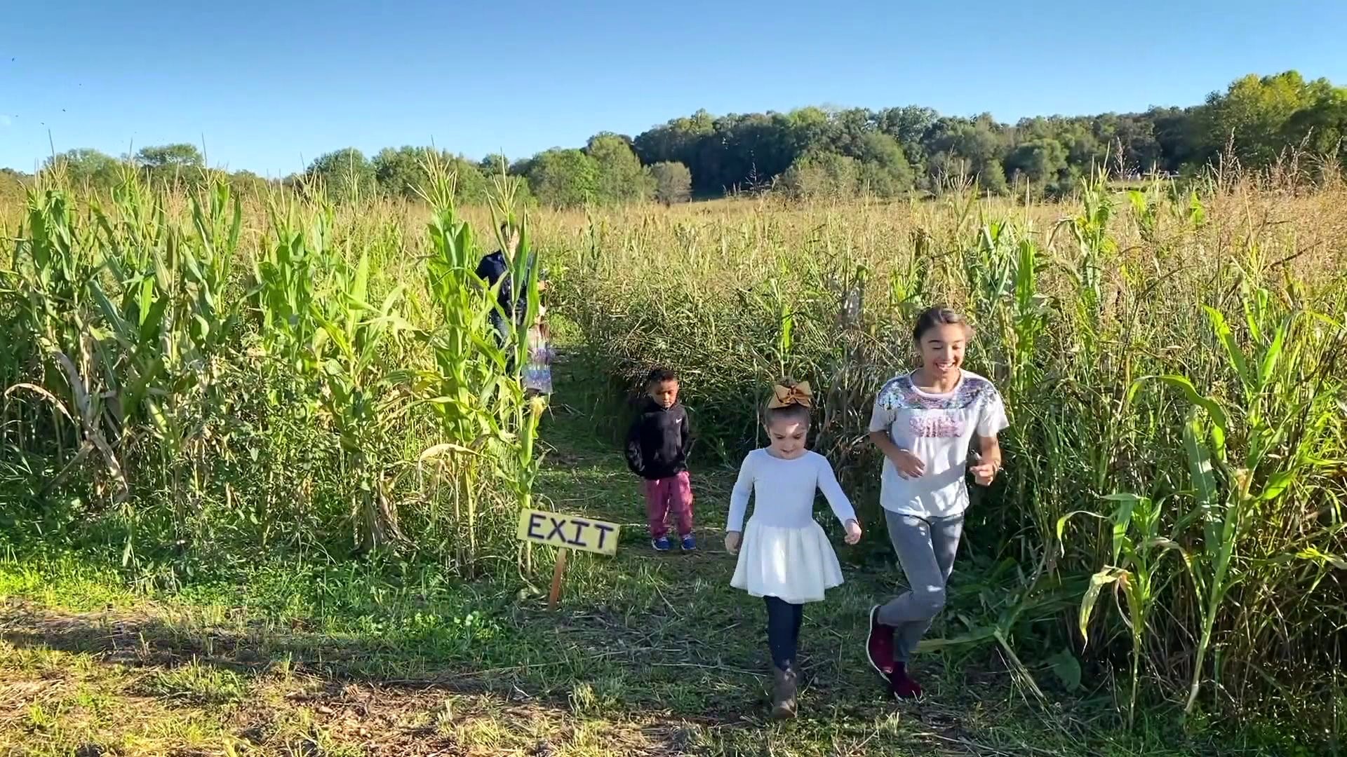 Adventure Arkansas Ozark Corn Maze Oct 2019