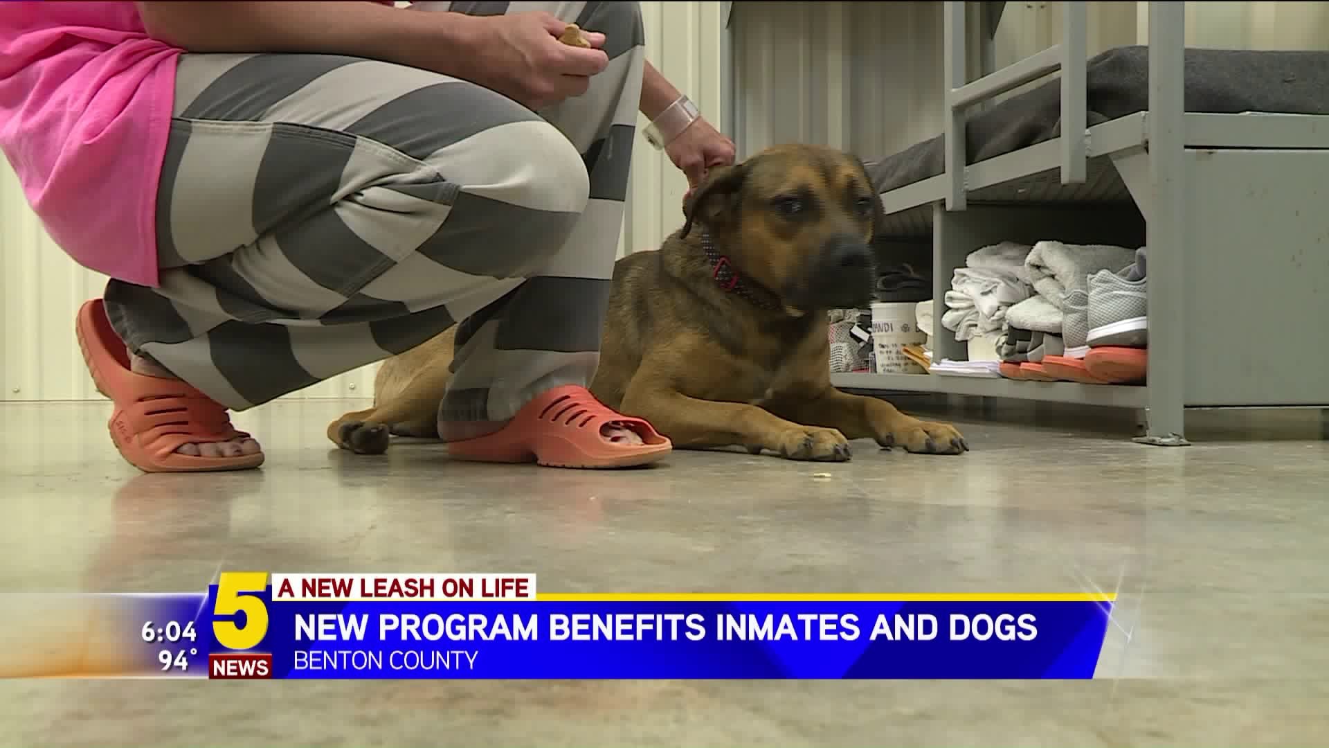 New Program Benefits Inmates And Dogs