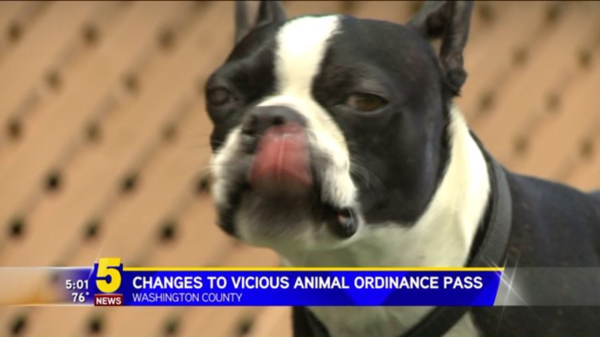 Changes To Vicious Animal Ordinance Pass In Washington County |  