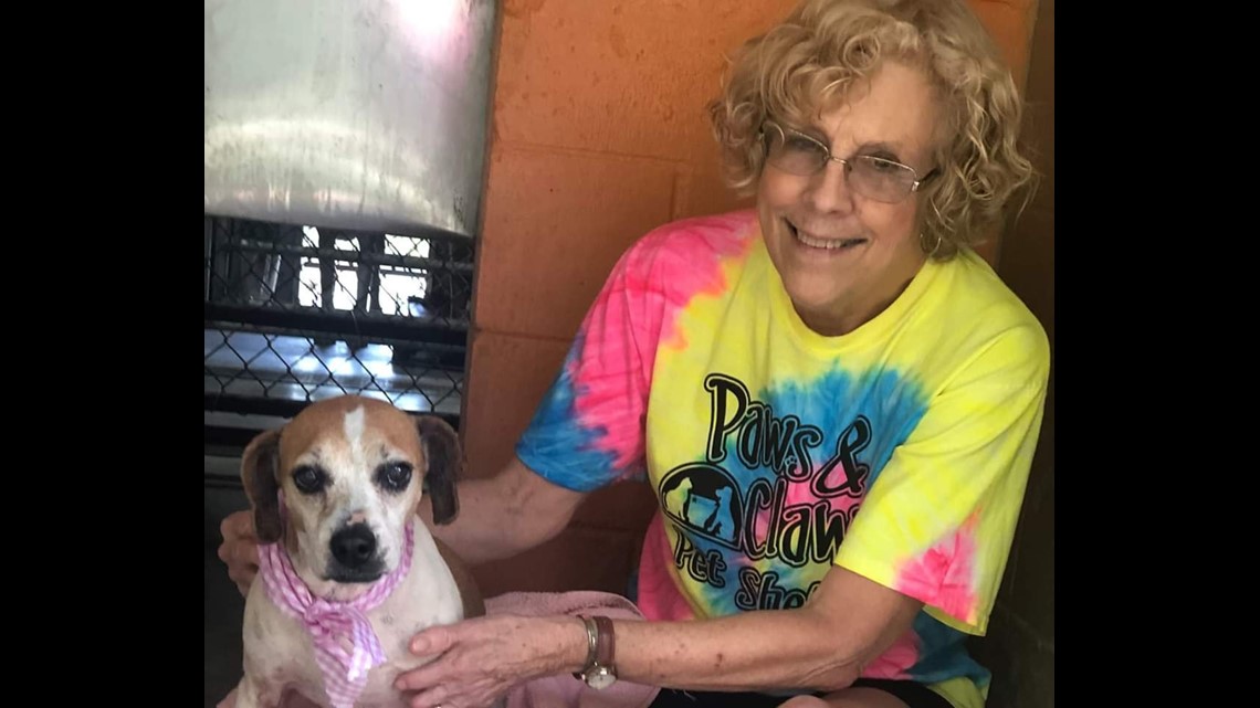Huntsville Animal Shelter Hosting 'In The Dog House' Fundraiser |  