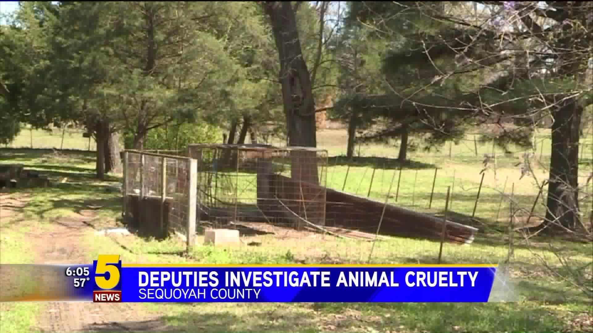 Deputies Investigate Animal Cruelty