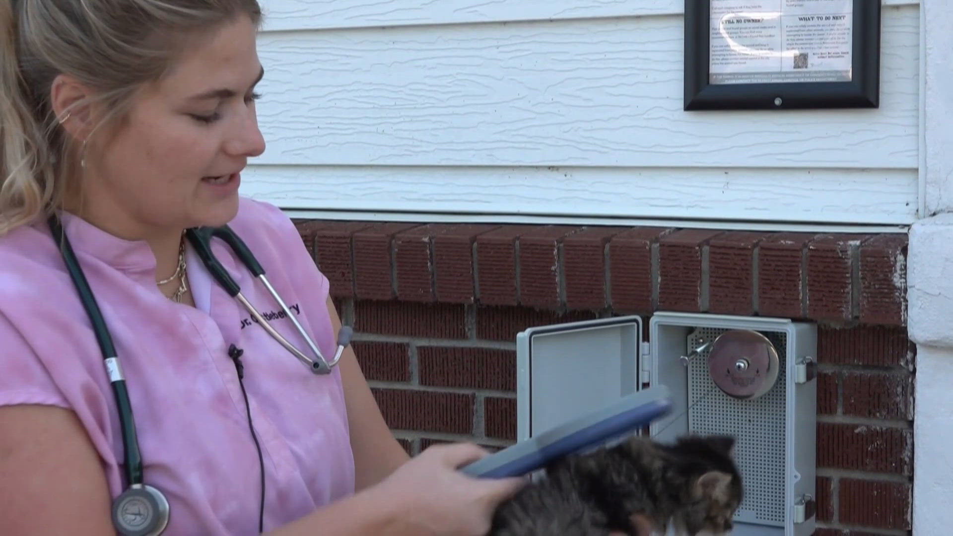 NWA Animal Alliance announces new 24/7 microchip scanners | 5newsonline.com