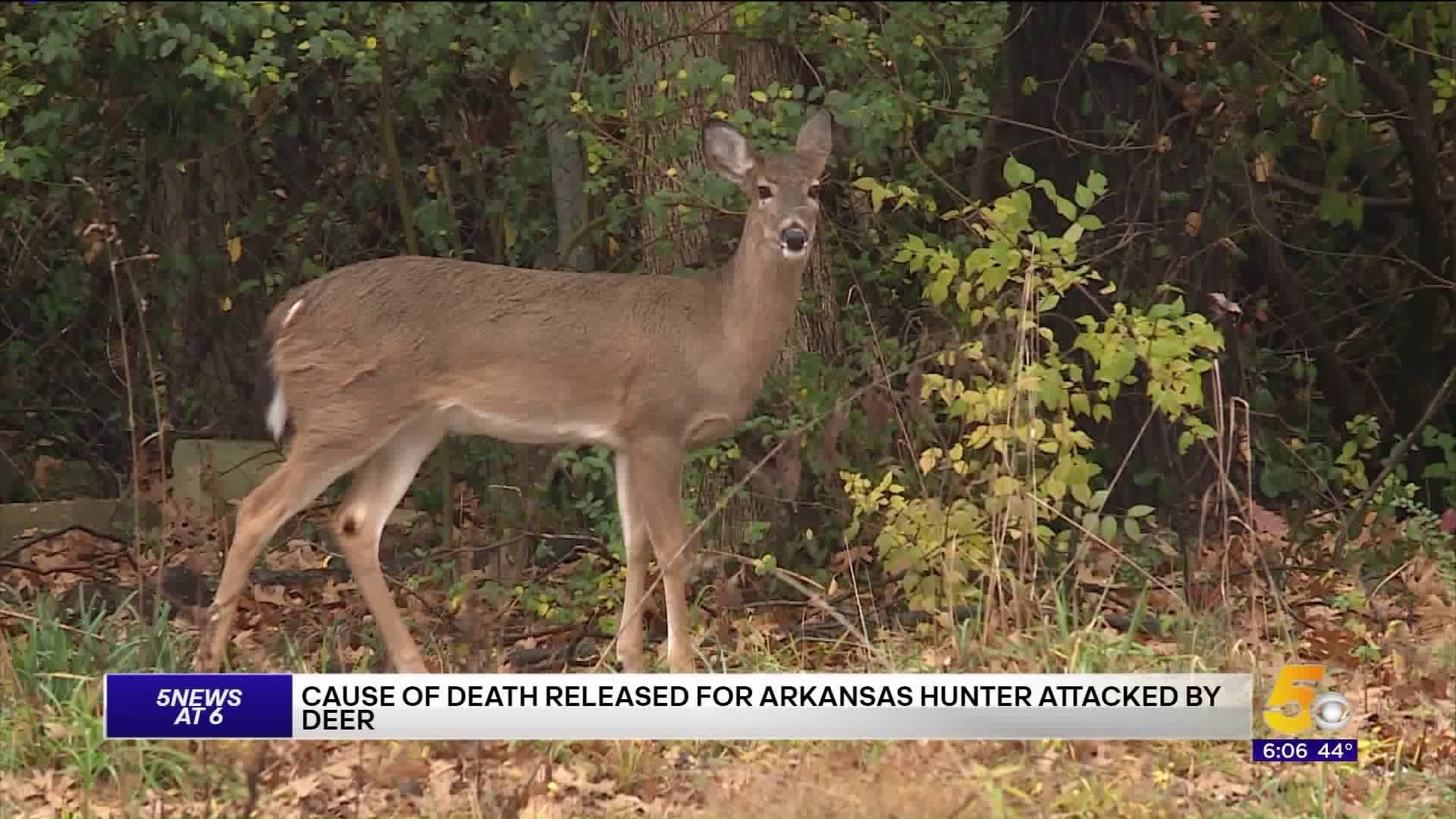 Cause Of Death For Arkansas Hunter Attacked By Deer Released