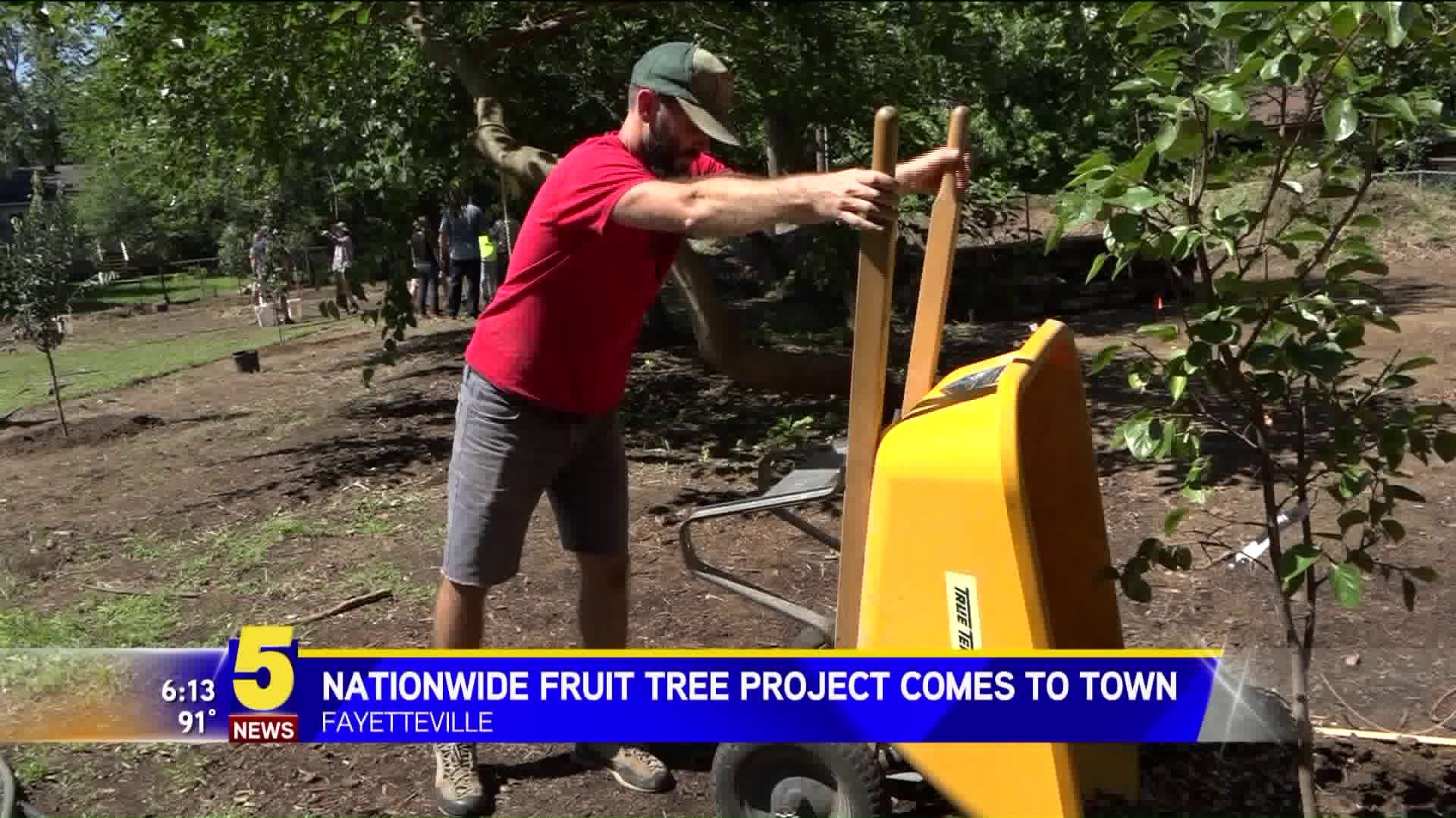 Nationwide Fruit Tree Project Comes To Town