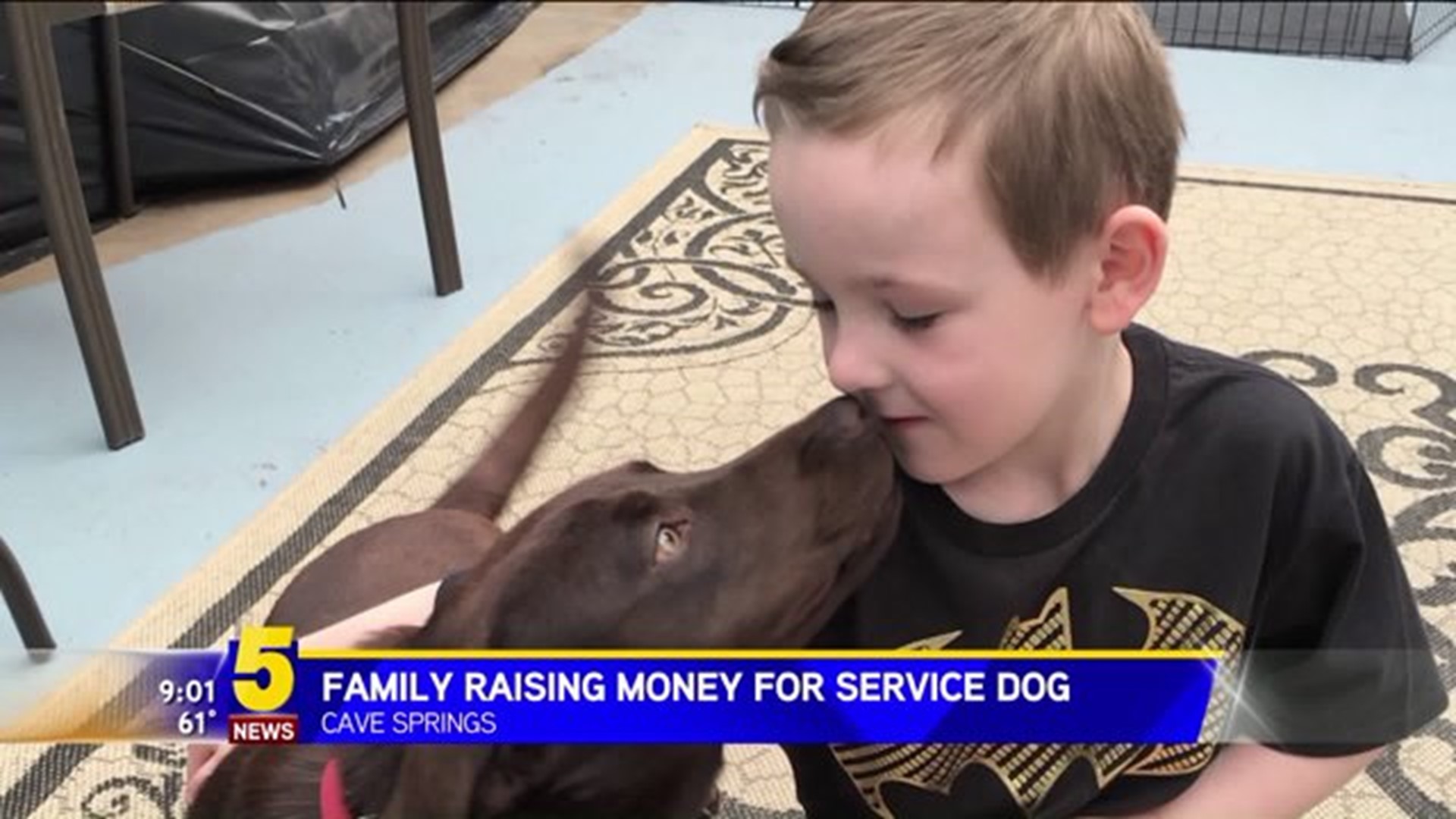 SERVICE DOG FOR BOY WITH AUTISM