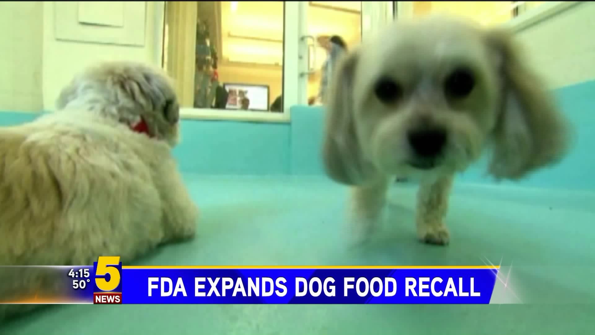 FDA Expands Dog Food Recall