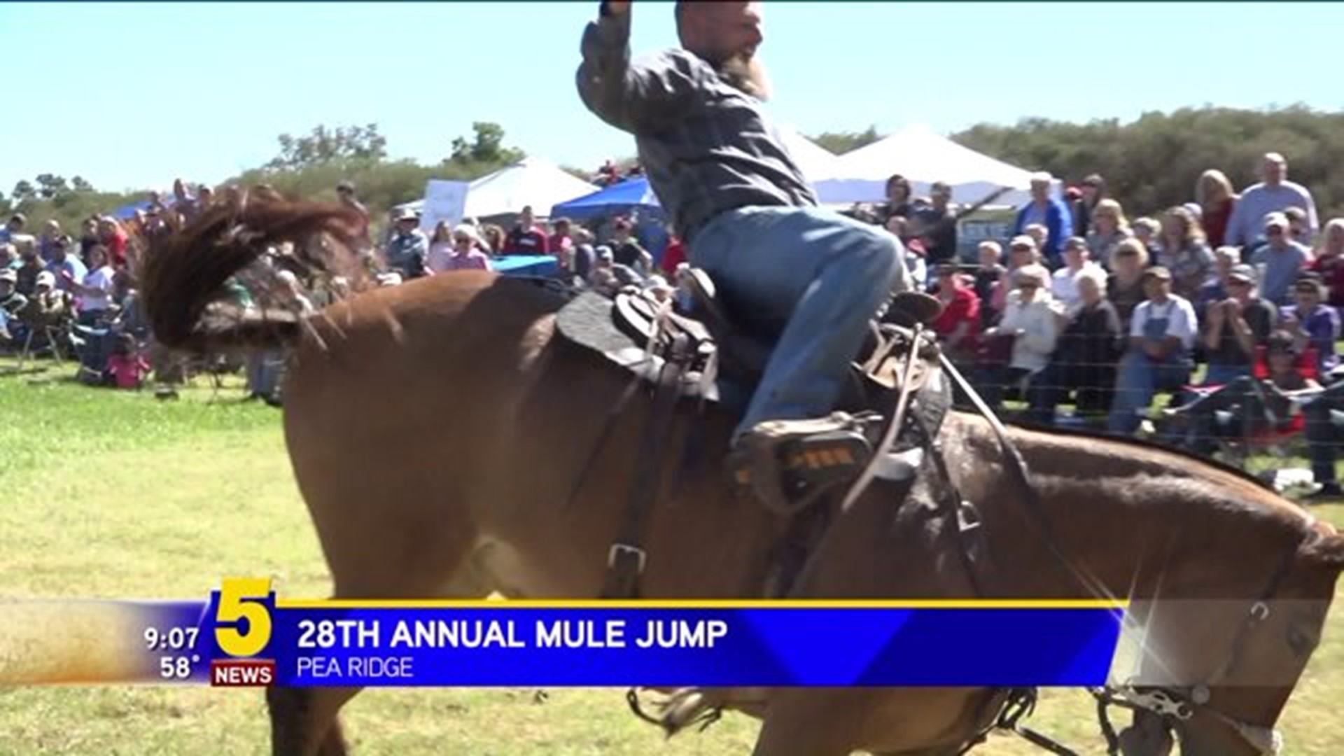28th Annual Mule Jump