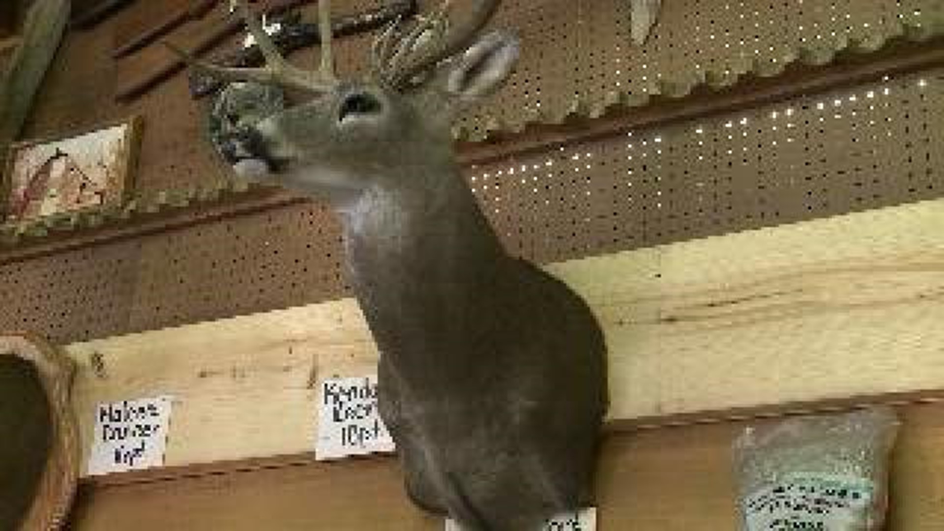 Top Prizes Awarded in the Big Buck Contest
