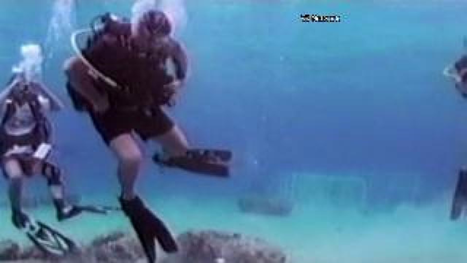Keep it Local: Ultimate Divers Challenge