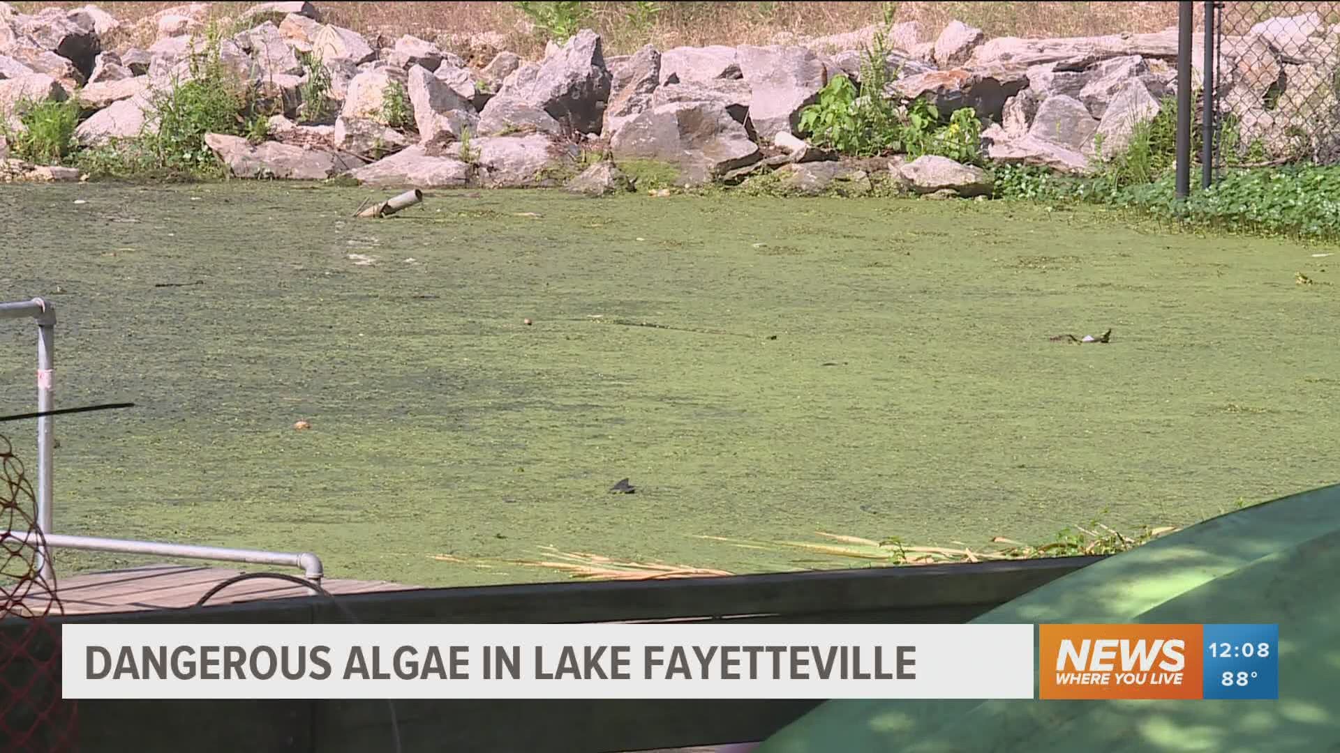 Lake Fayetteville's park manager says the water is mostly safe for activities, but precautions need to be taken.