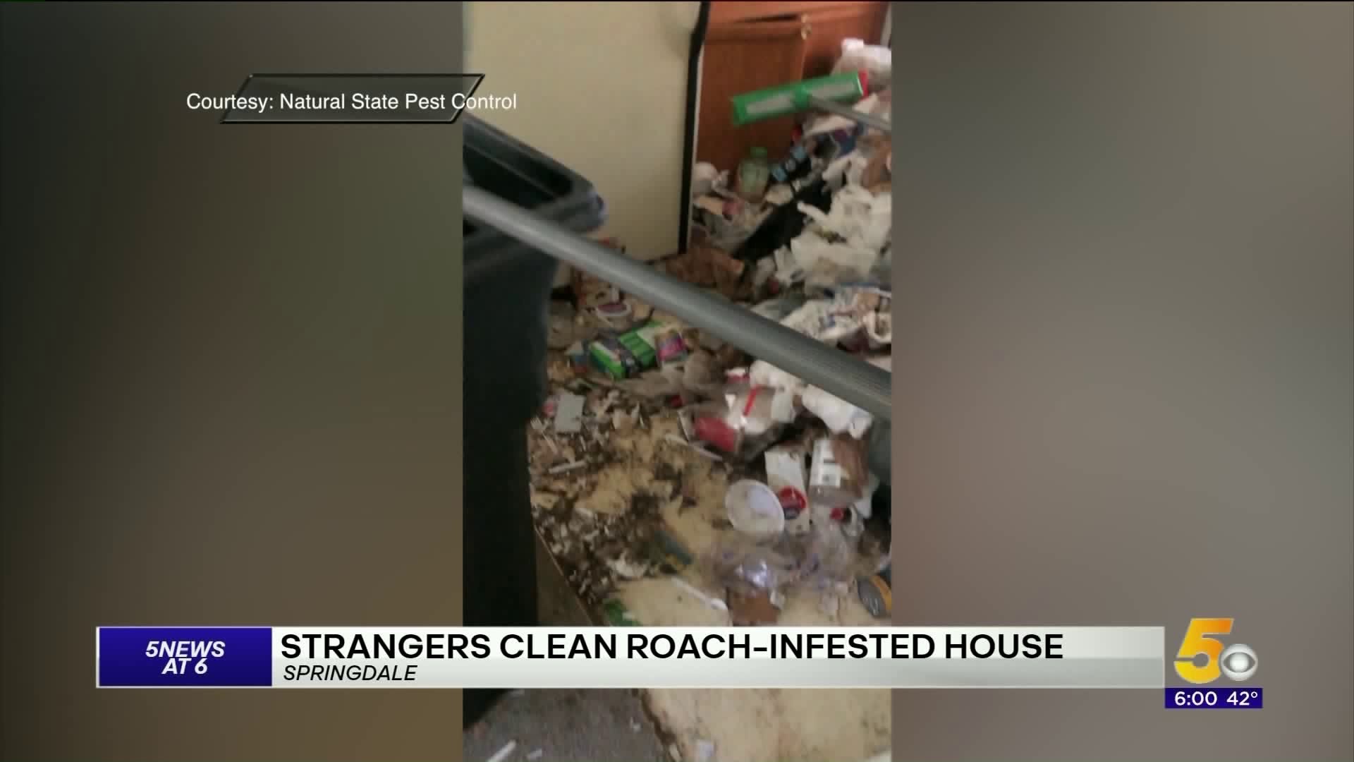 Stranger Clean Roach-Infested House in Springdale