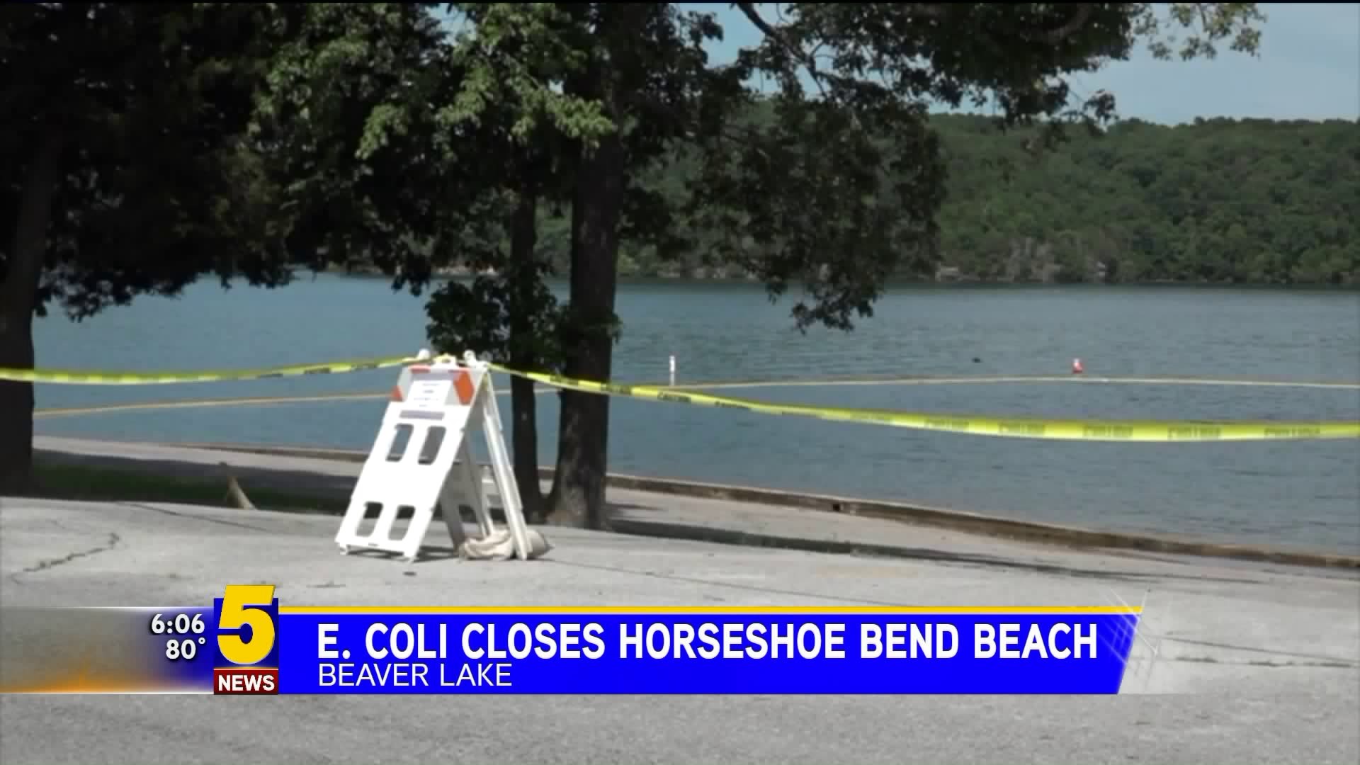 E. Coli Closes Horseshoe Bend Swim Beach
