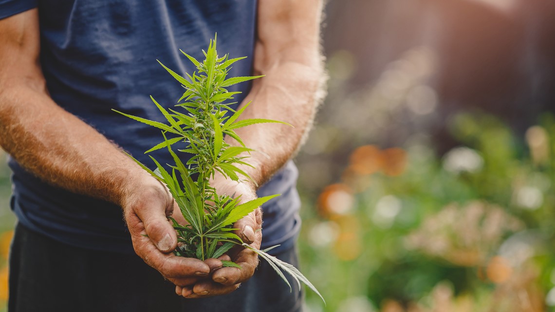 Little Rock-based cannabis fintech hits $2 billion mark - Vimarsana News