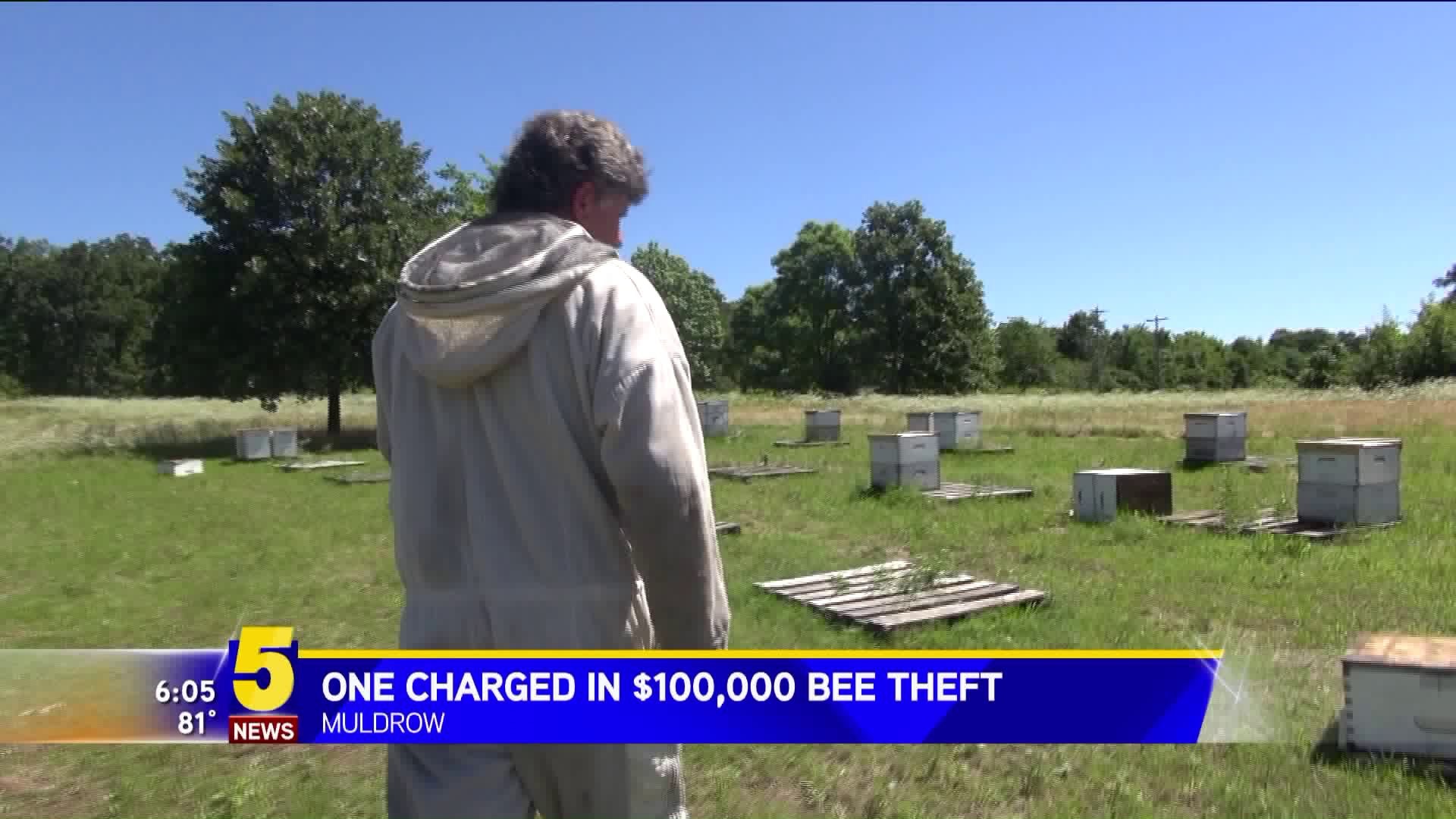 Bee Theft