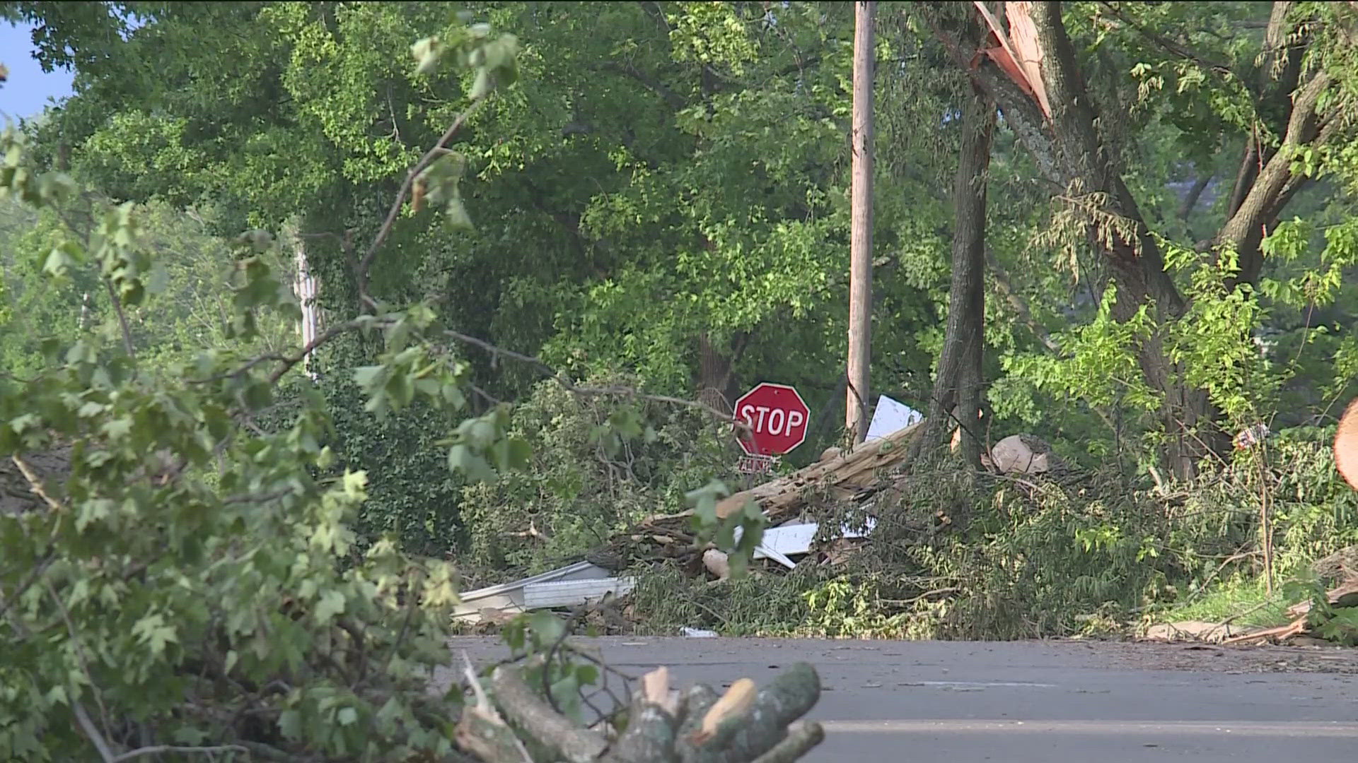 As they headed out for another day of cleanup, members and volunteers told 5NEWS Reporter Morgan Wrigley they were starting to see the work pay off.