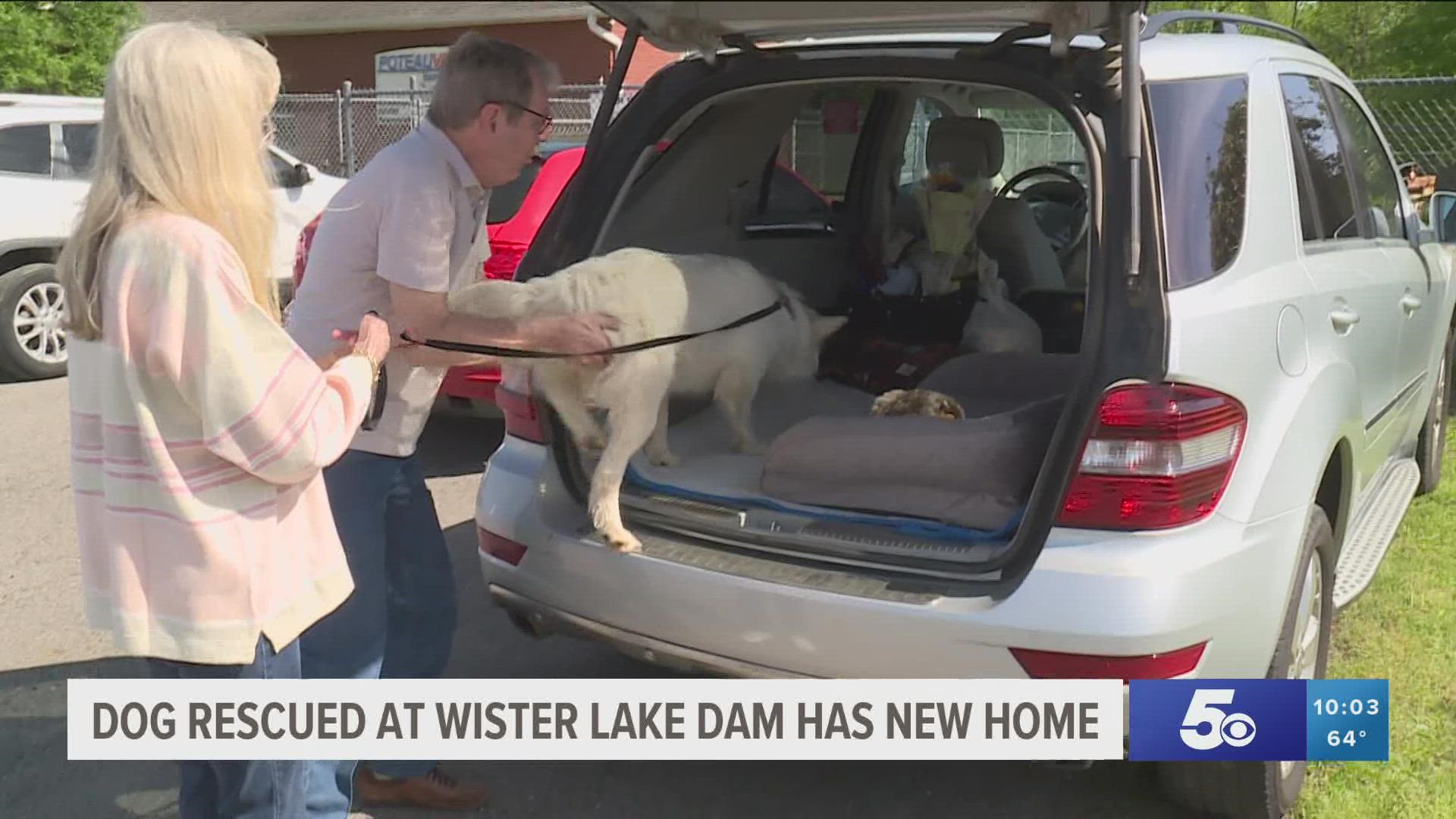 The dog left abandoned at the Lake Wister Dam and rescued by firefighters has found a new home with her new owners, who saw her story on TV.