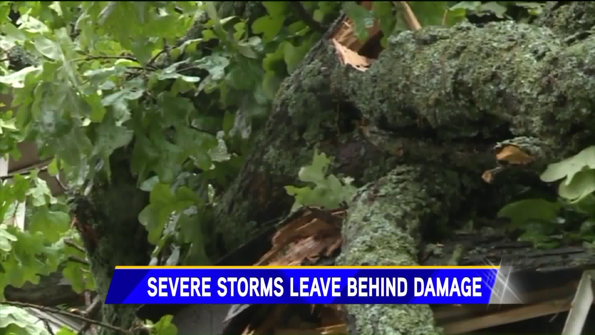 Severe Storms Leave Damage Behind