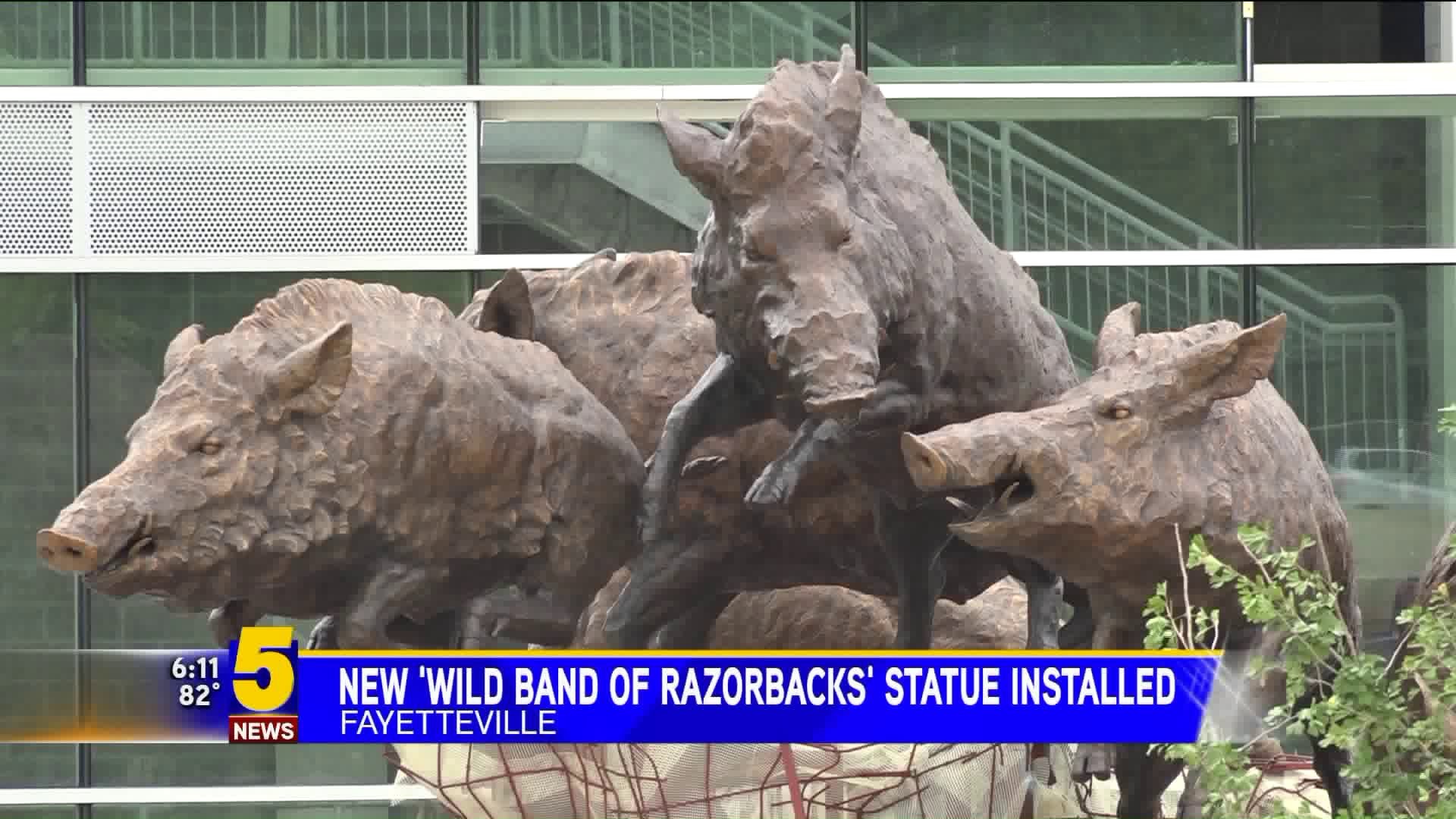 Wild Hog Statue At UA