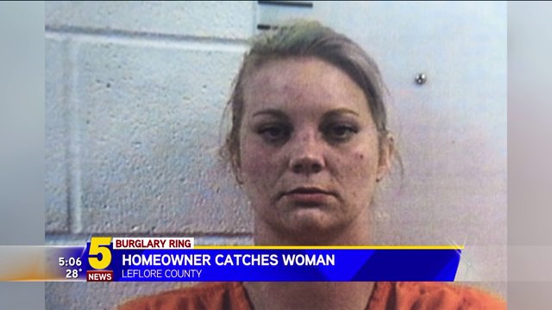 Homeowner Catches Burglar