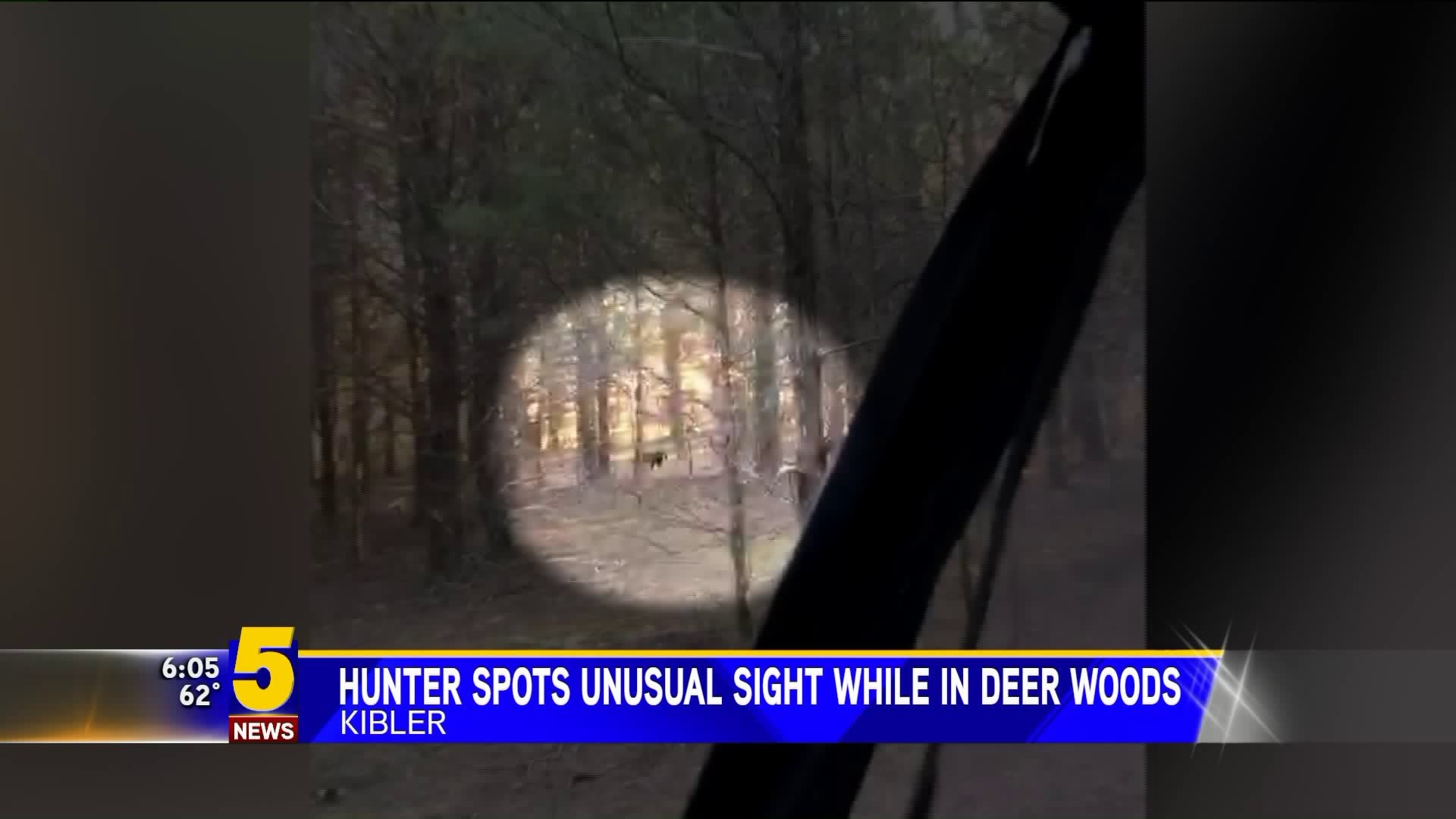 Hunter Spots Black Panther in Kebler