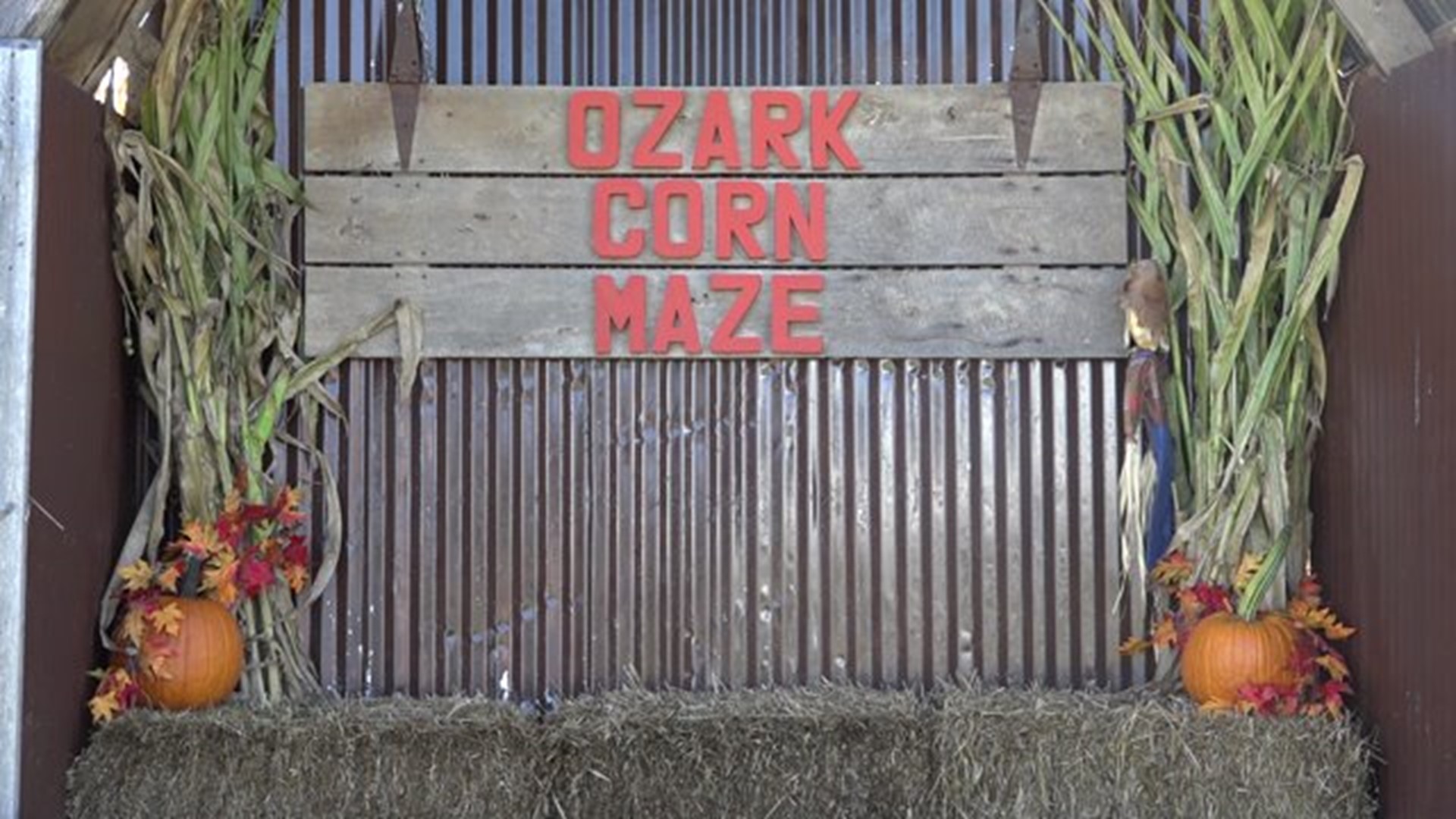 Ozark Corn Maze