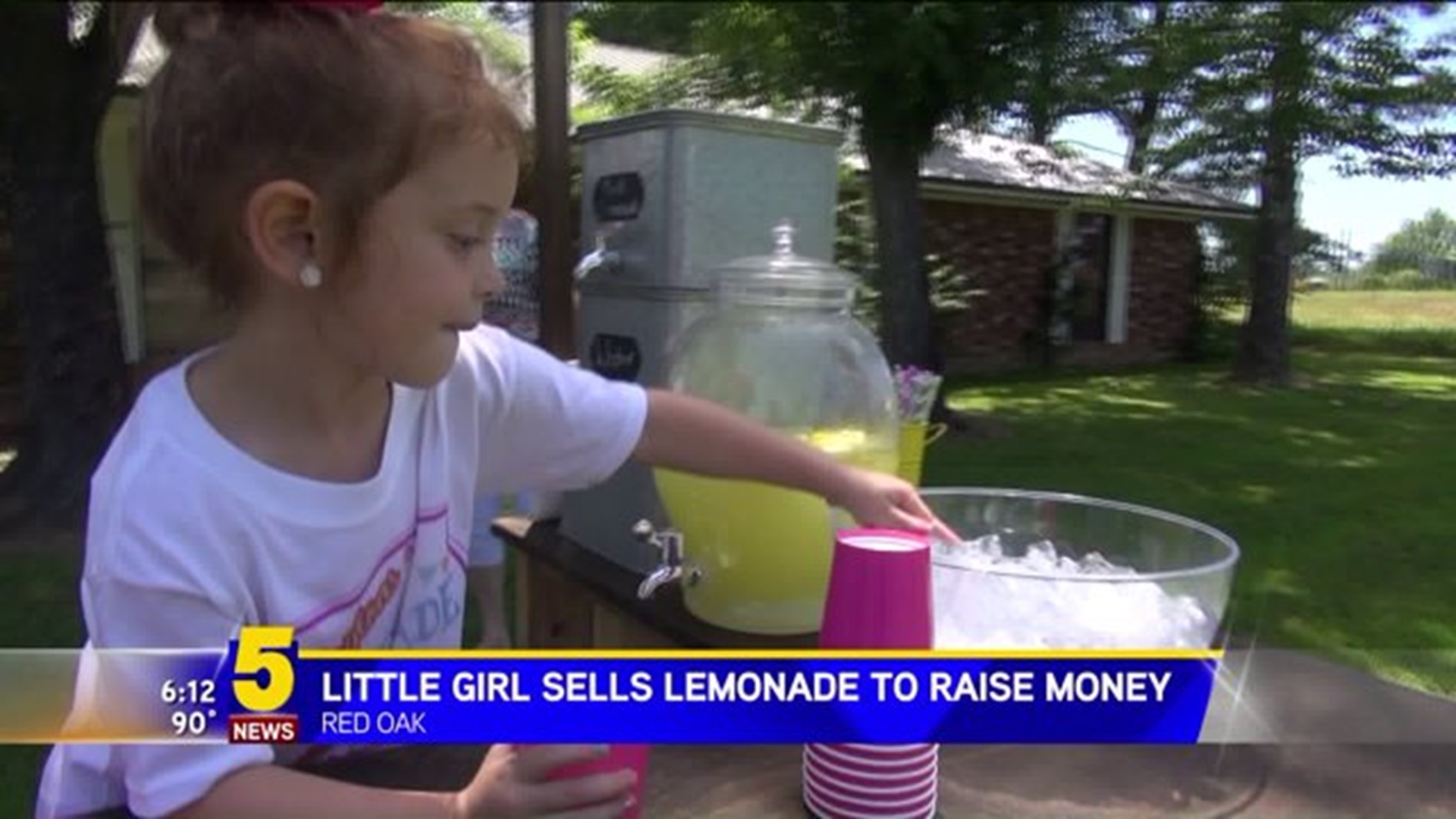 Four-Year-Old Runs Lemonade Stand To Help Others