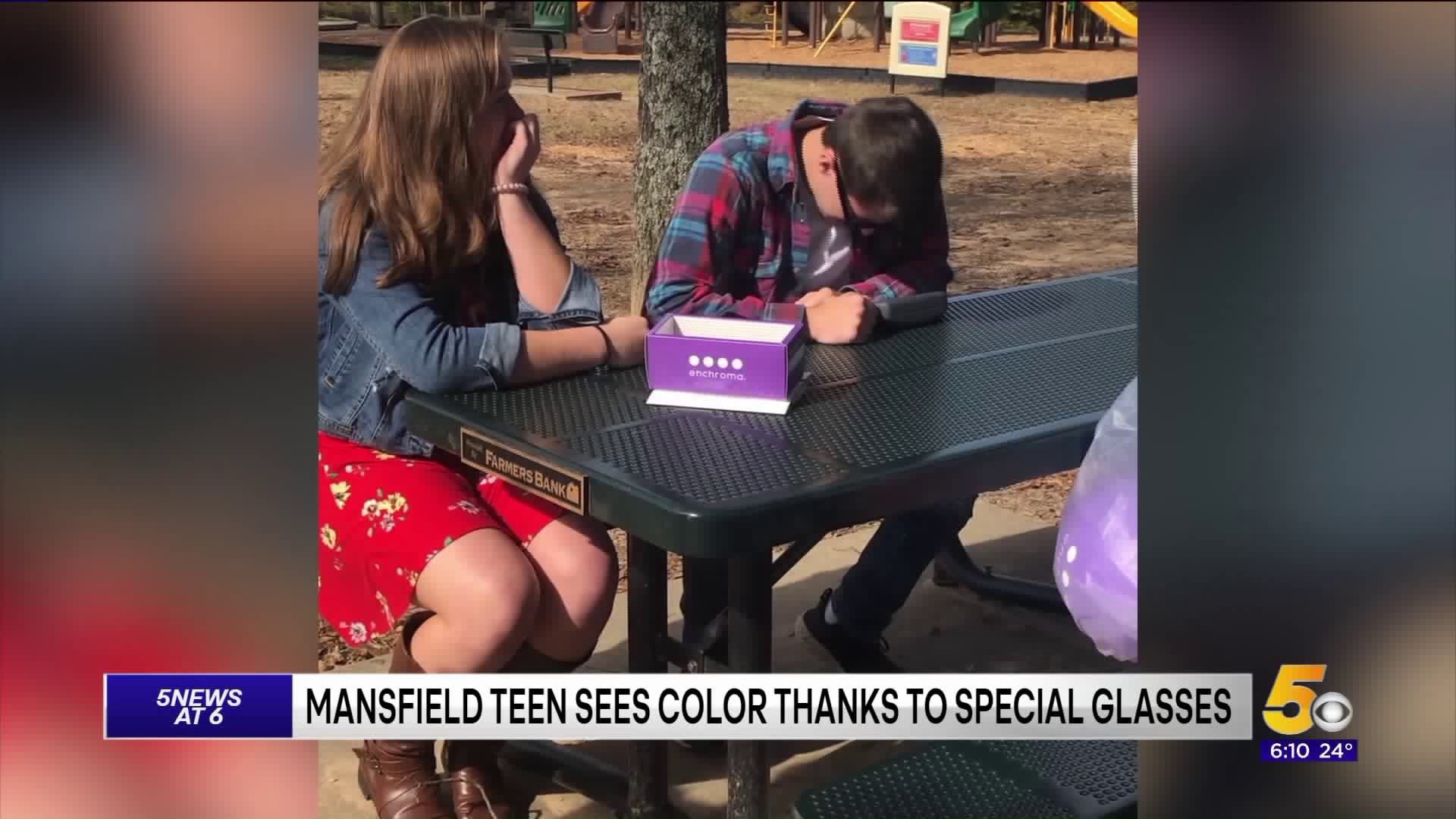 Mansfield Teen Sees Color Thanks To Special Glasses