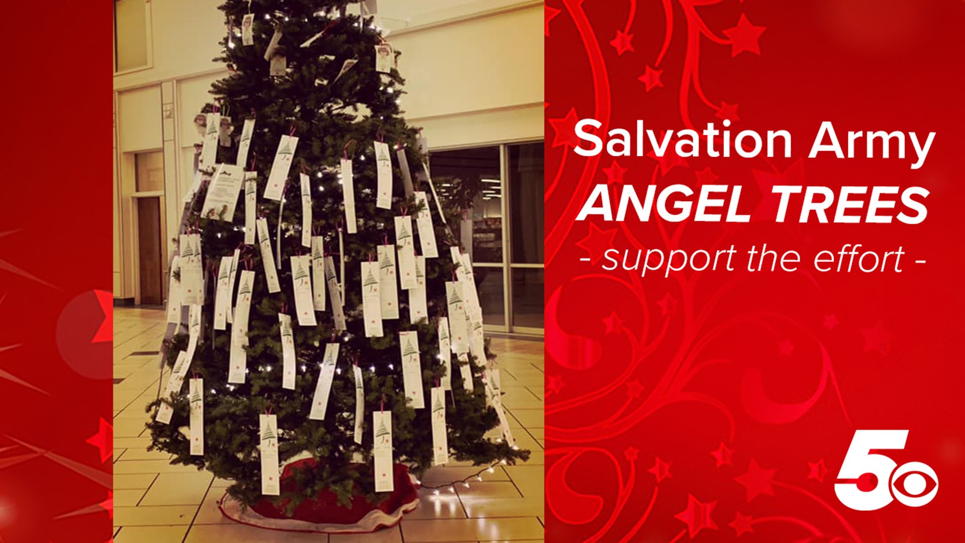 Salvation Army Angel Trees up and ready in NWA and River Valley