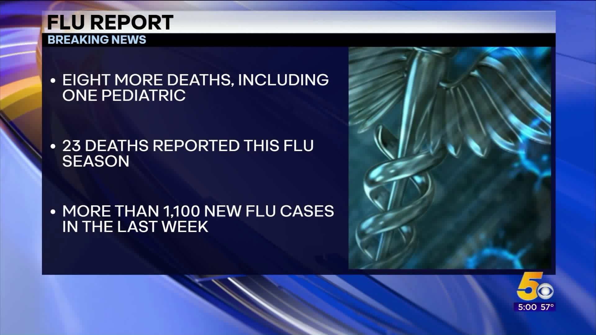 Flu Deaths Surpass 20 In Arkansas, Including One Pediatric
