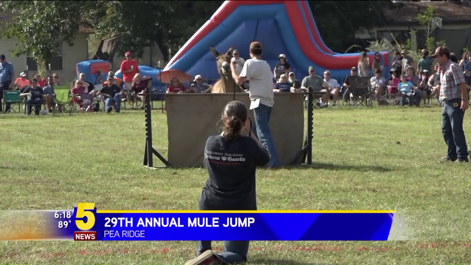 Mule Jump
