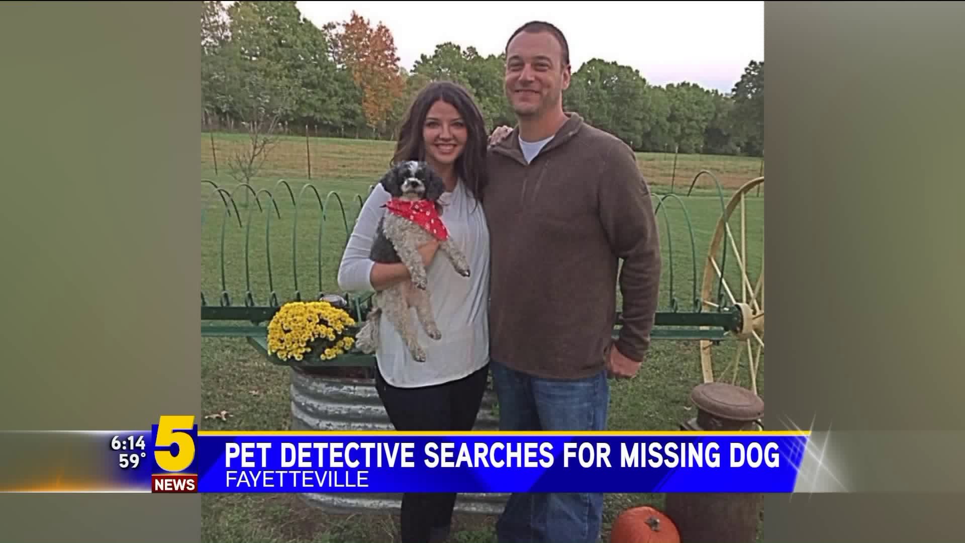 Pet Detective Searches For Missing Dog