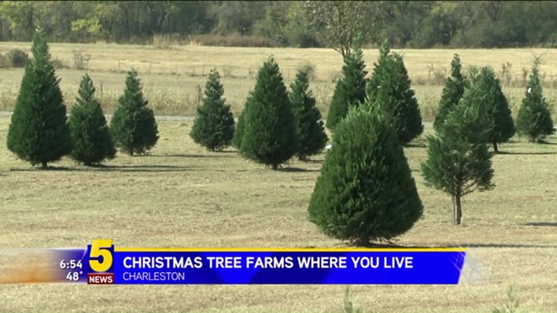 Christmas Tree Farms