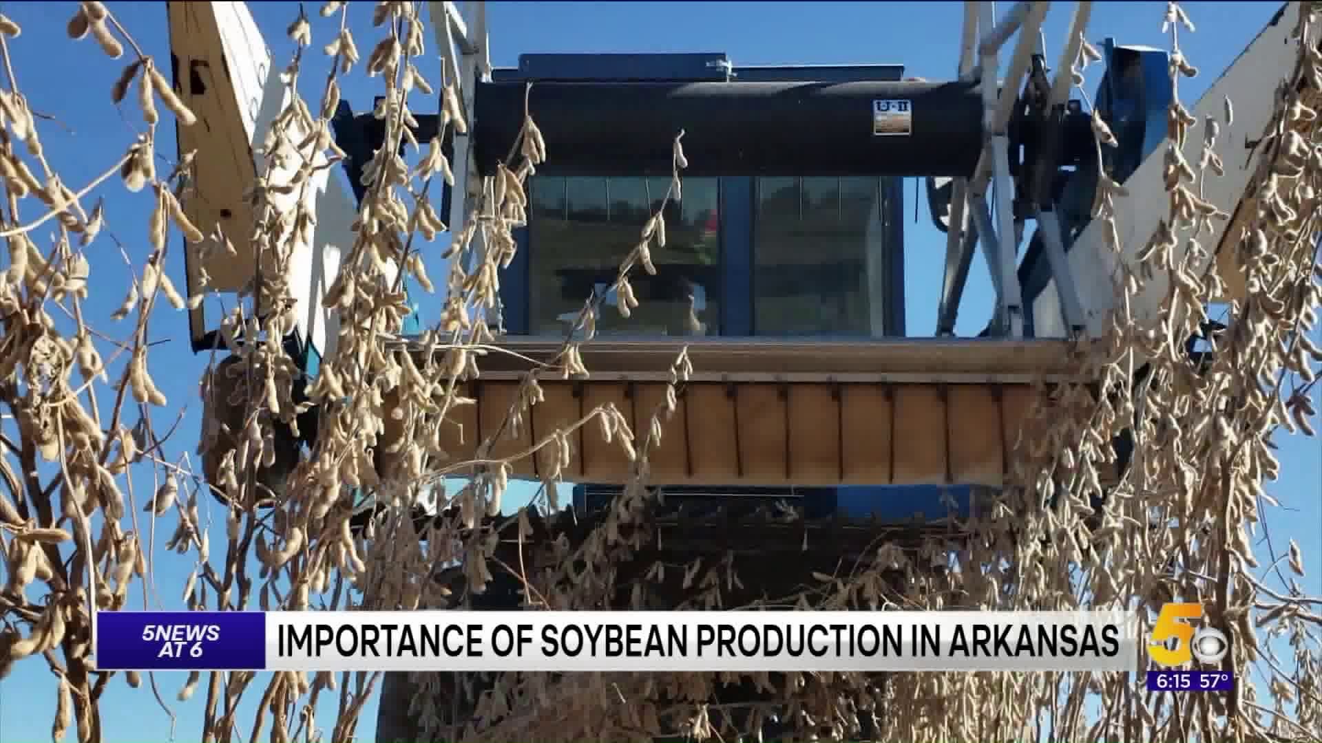 Importance of Soybean Production in Arkansas