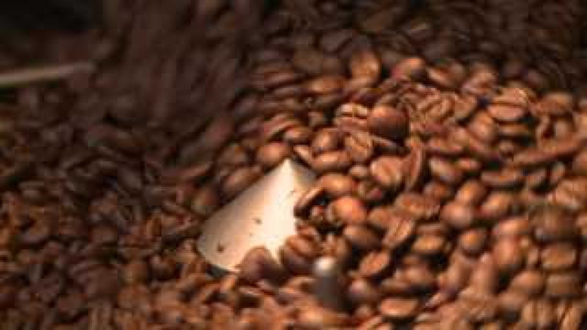 Arsaga\'s Coffee Brewing