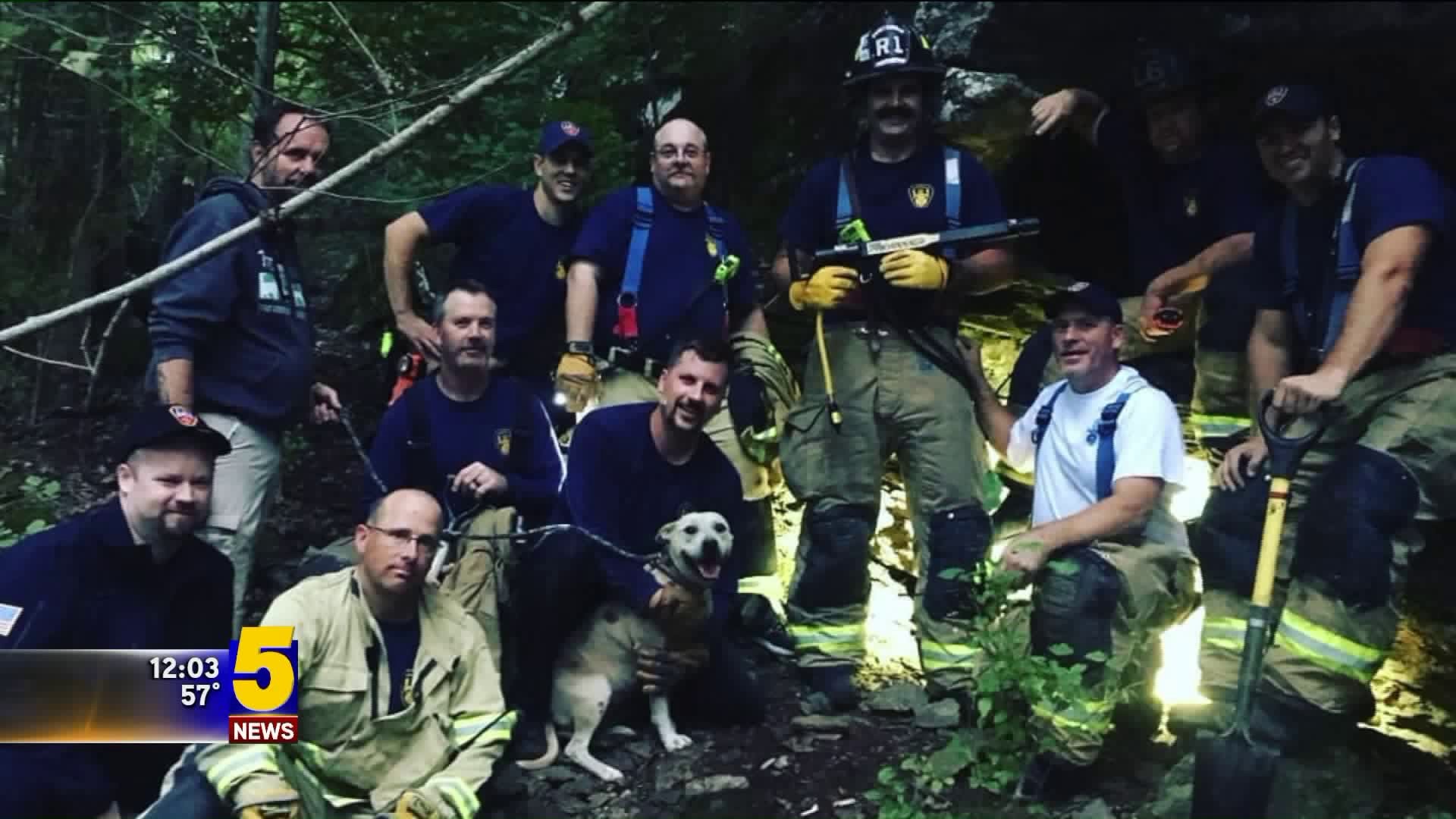 Fayetteville Firefighters Rescue Dog