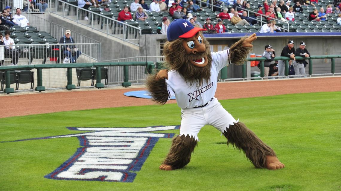 NORTH ARKANSAS NATURALS X KANSAS CITY ROYALS MALLARD TURDUCKEN