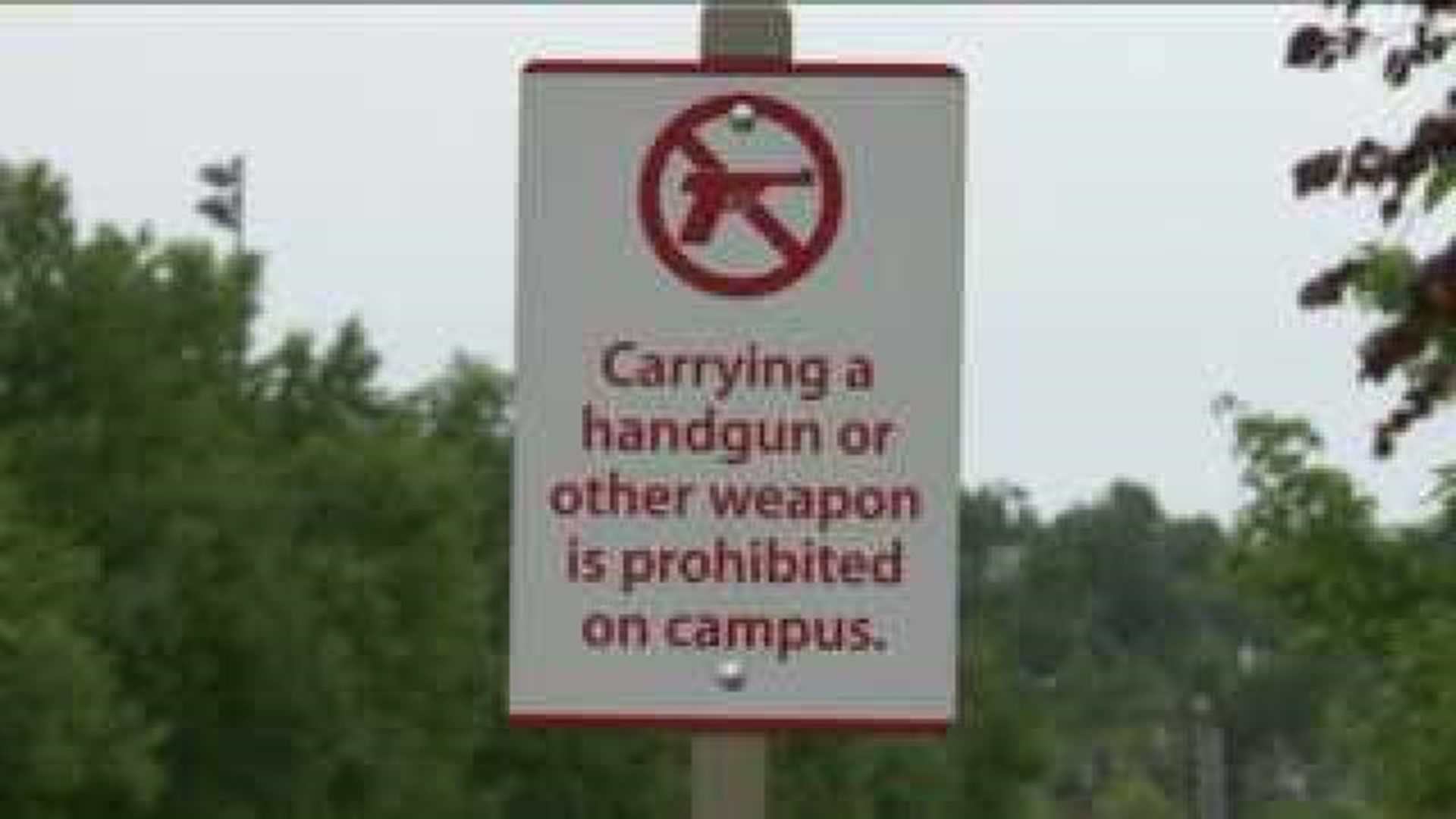 Representative Collins Discusses Campus Gun Law