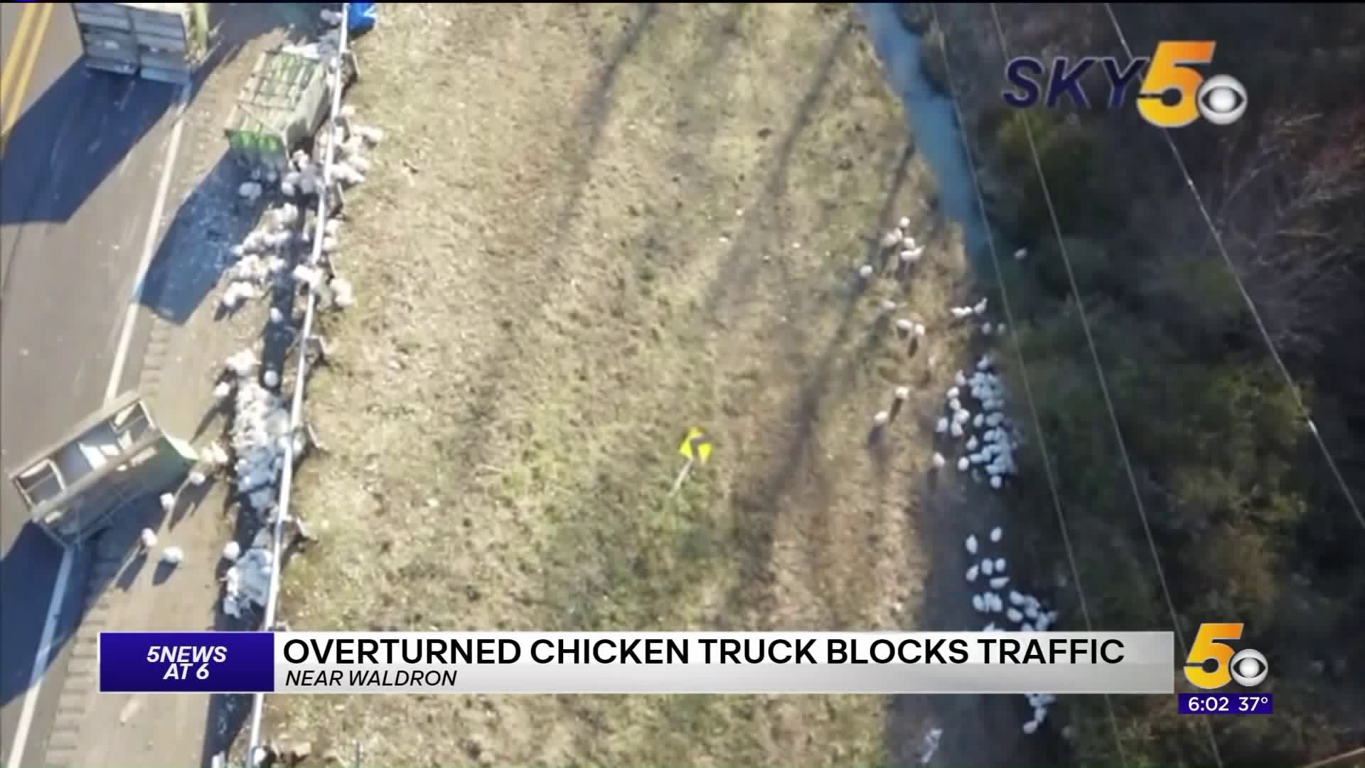 Overturned Chicken Truck Blocking Traffic On Hwy 71 North Of Waldron