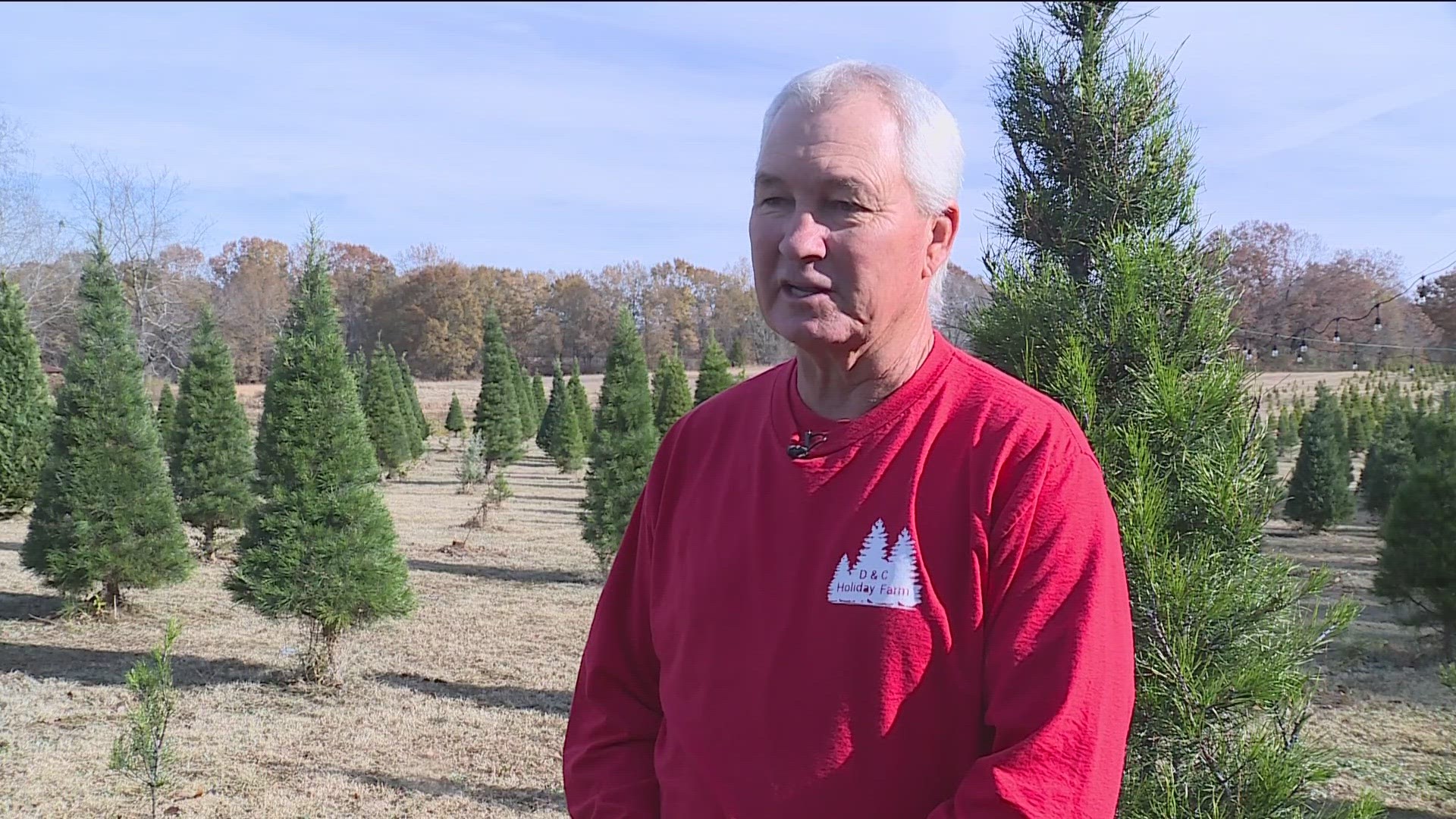 While most of us start thinking about our Christmas trees around now, one family in Muldrow spends all year getting their (roughly 13,000) trees ready.